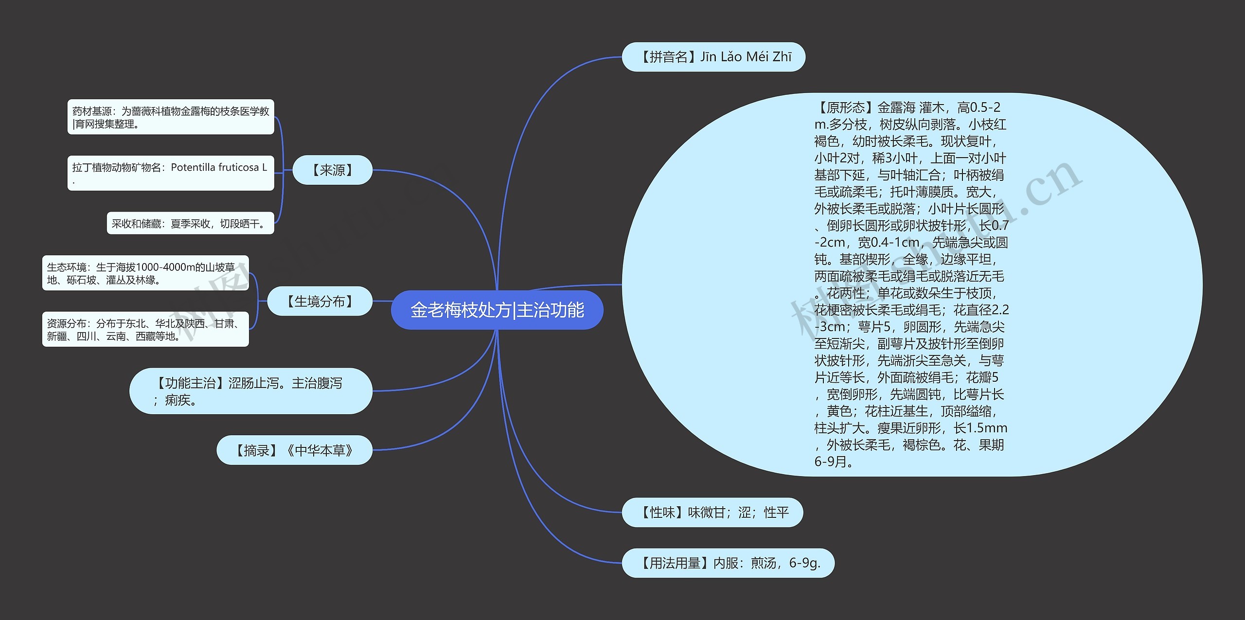 金老梅枝处方|主治功能思维导图