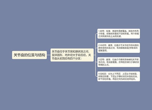 关节盘的位置与结构