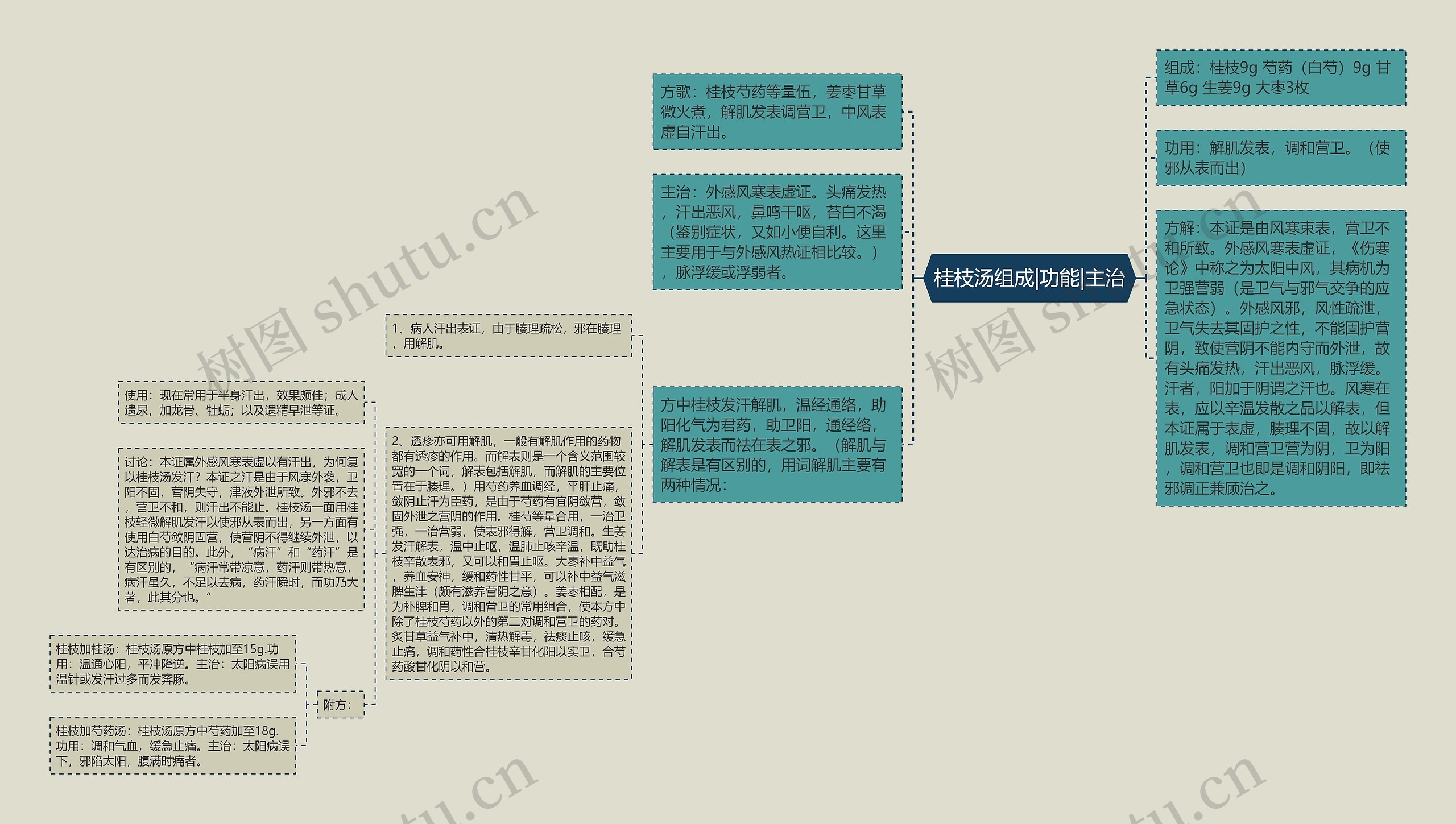 桂枝汤组成|功能|主治思维导图