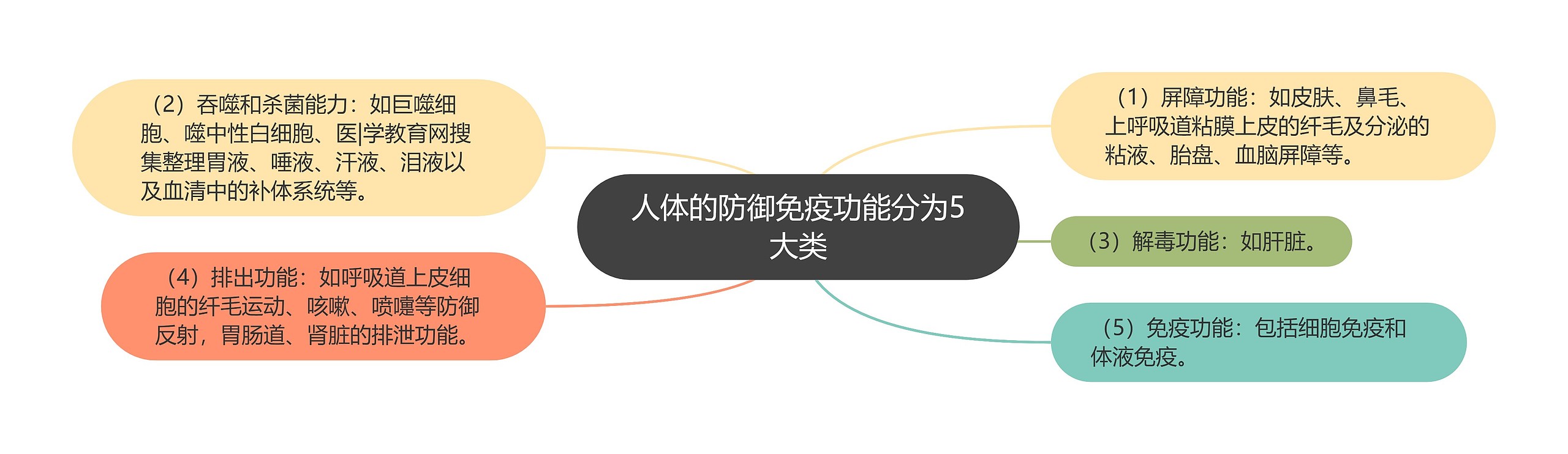 人体的防御免疫功能分为5大类 人体的防御免疫功能分为5大类