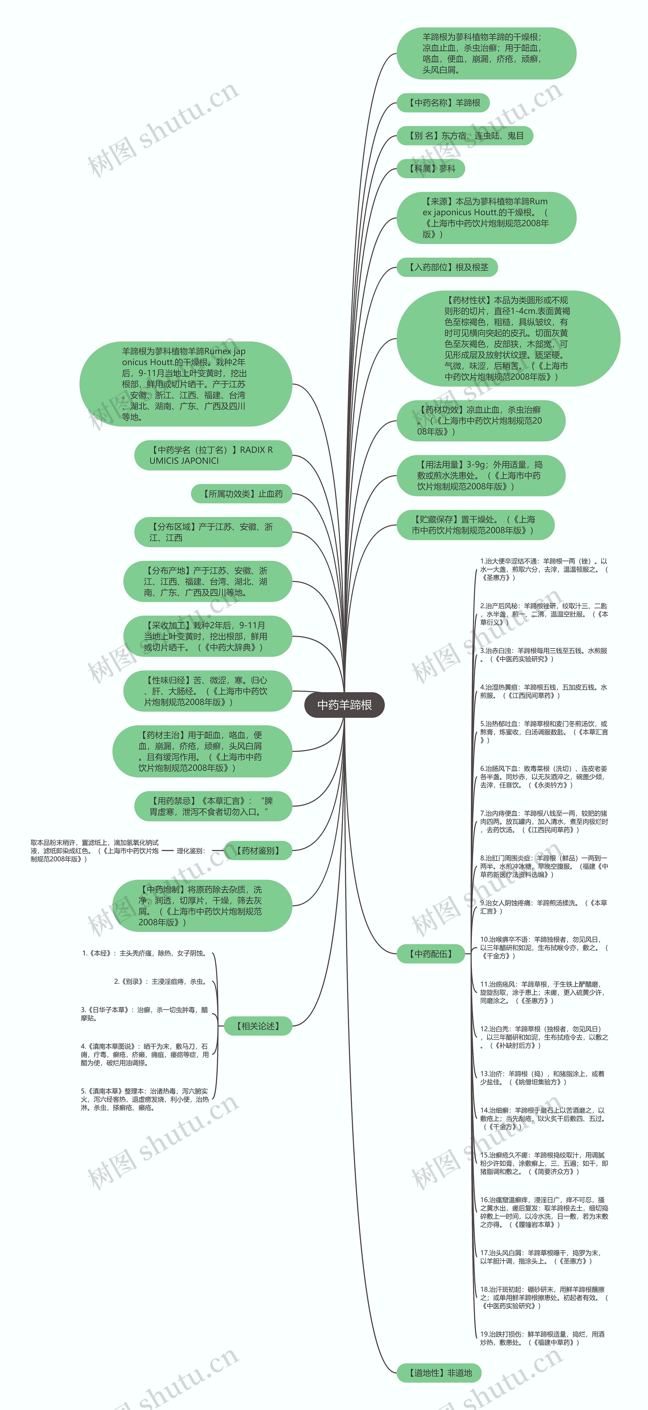 中药羊蹄根思维导图