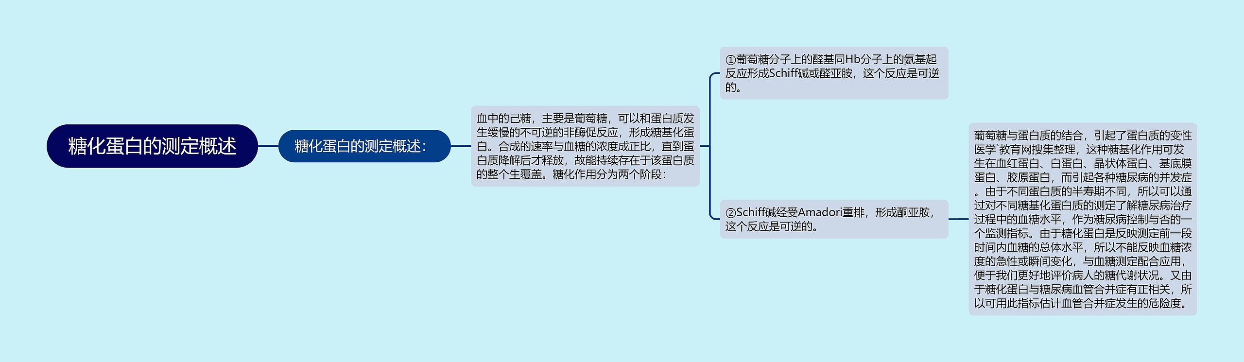 糖化蛋白的测定概述思维导图