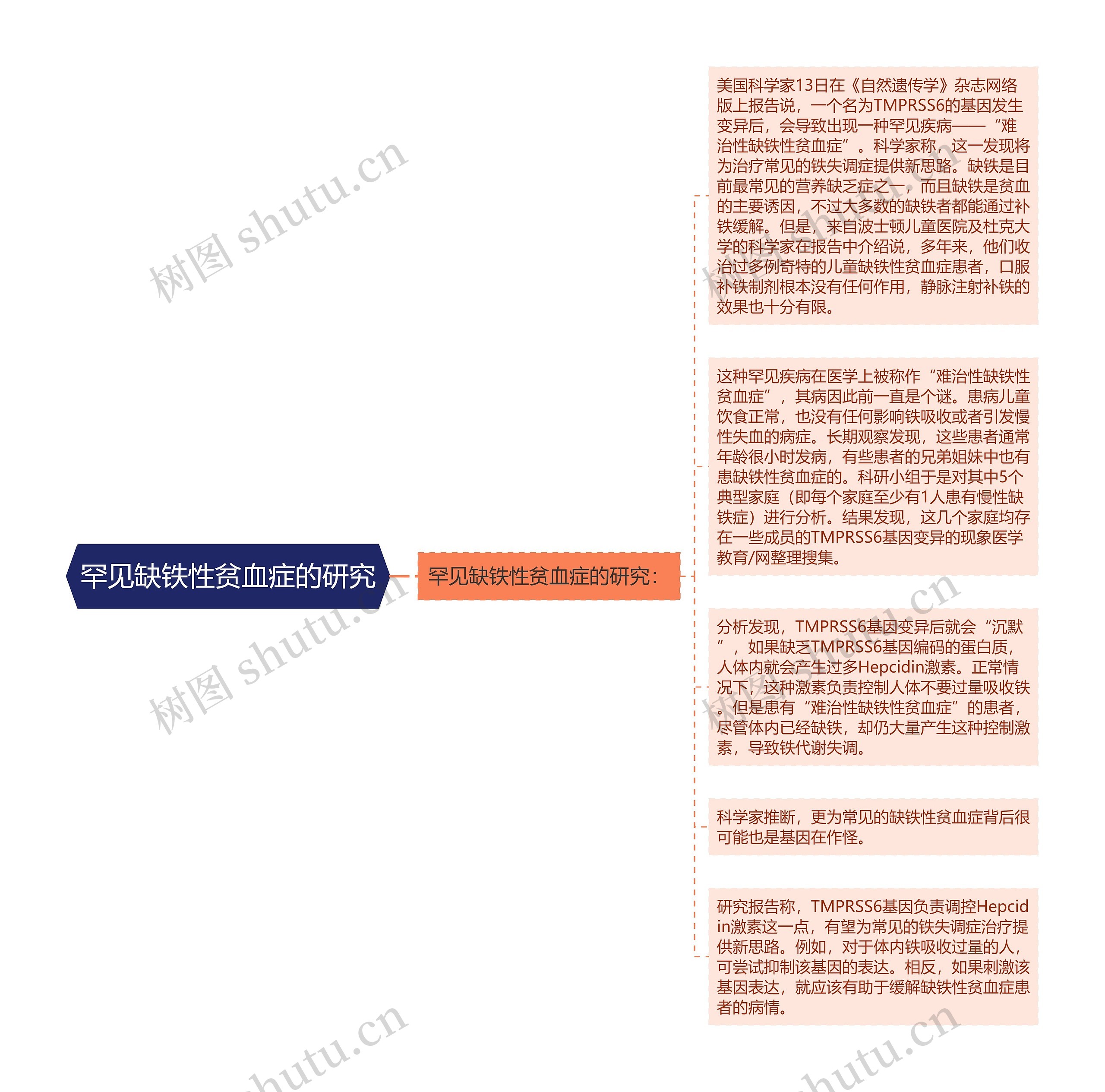 罕见缺铁性贫血症的研究思维导图