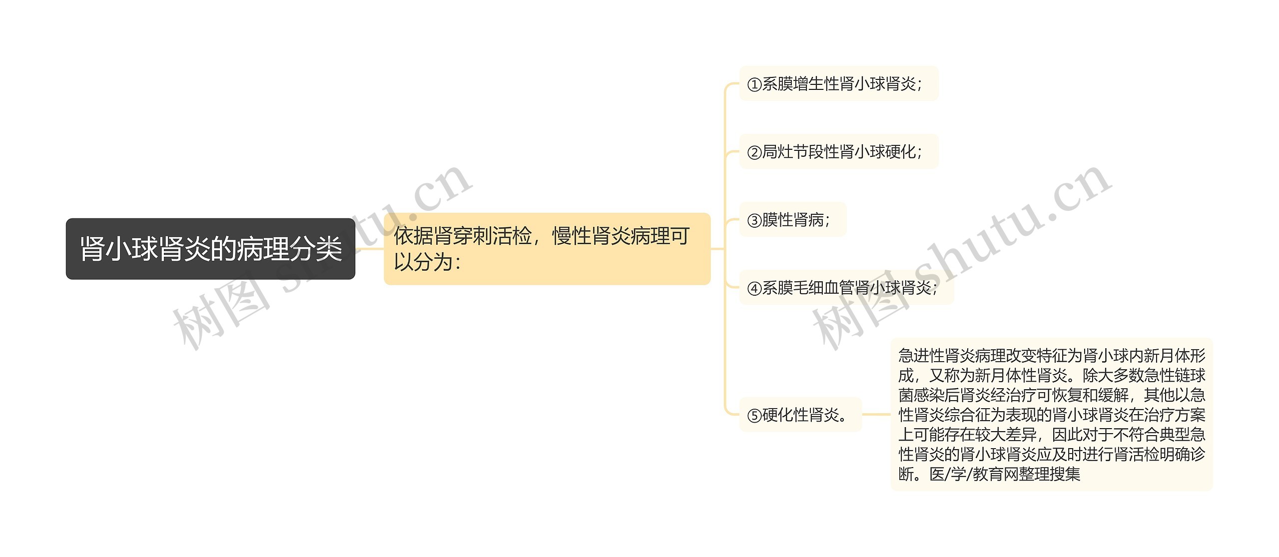 肾小球肾炎的病理分类思维导图