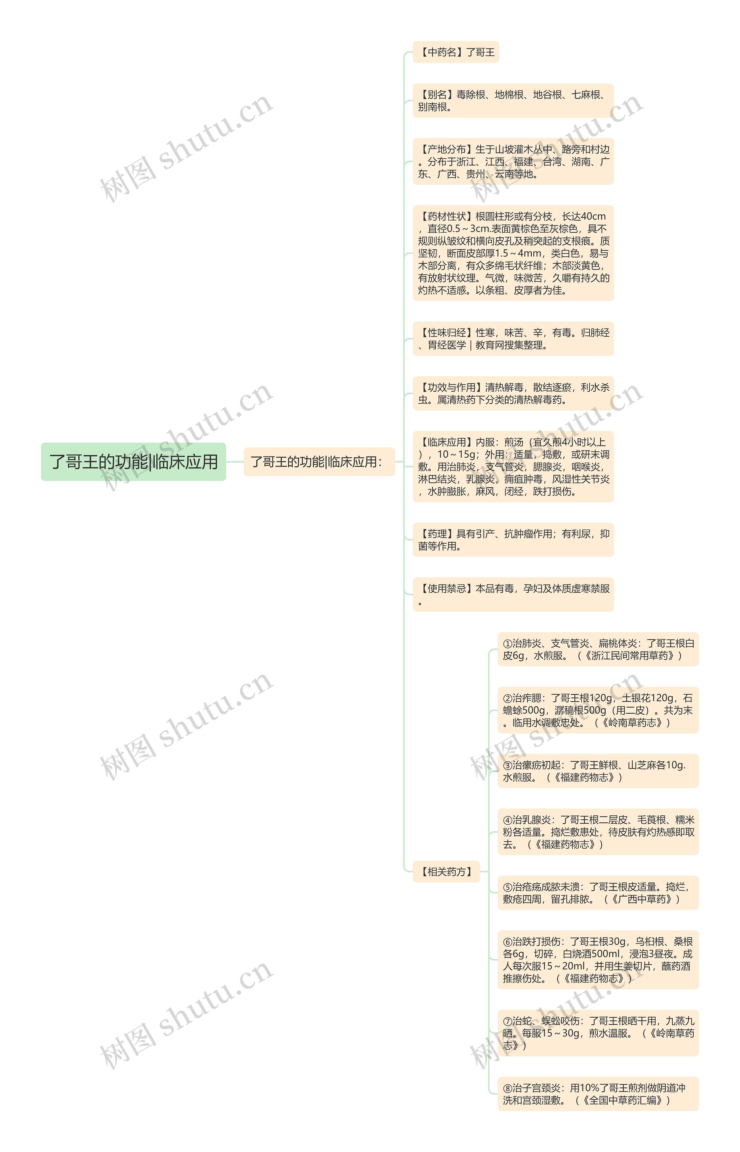 了哥王的功能|临床应用思维导图