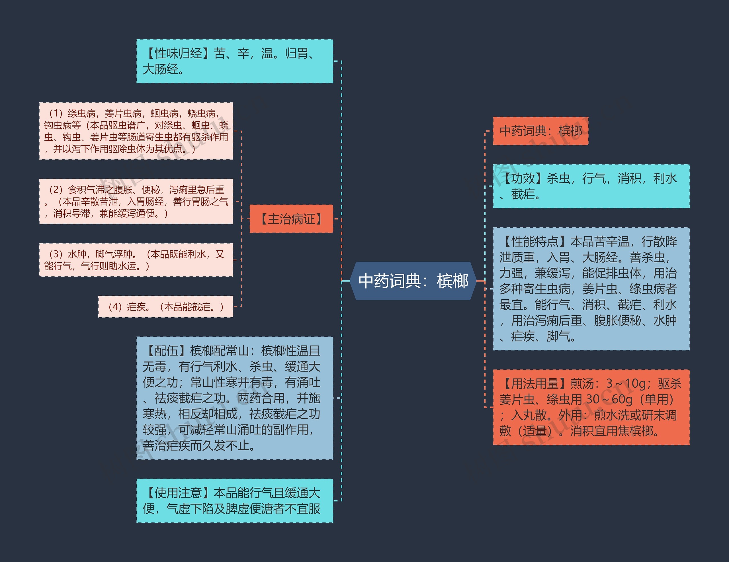 中药词典：槟榔思维导图