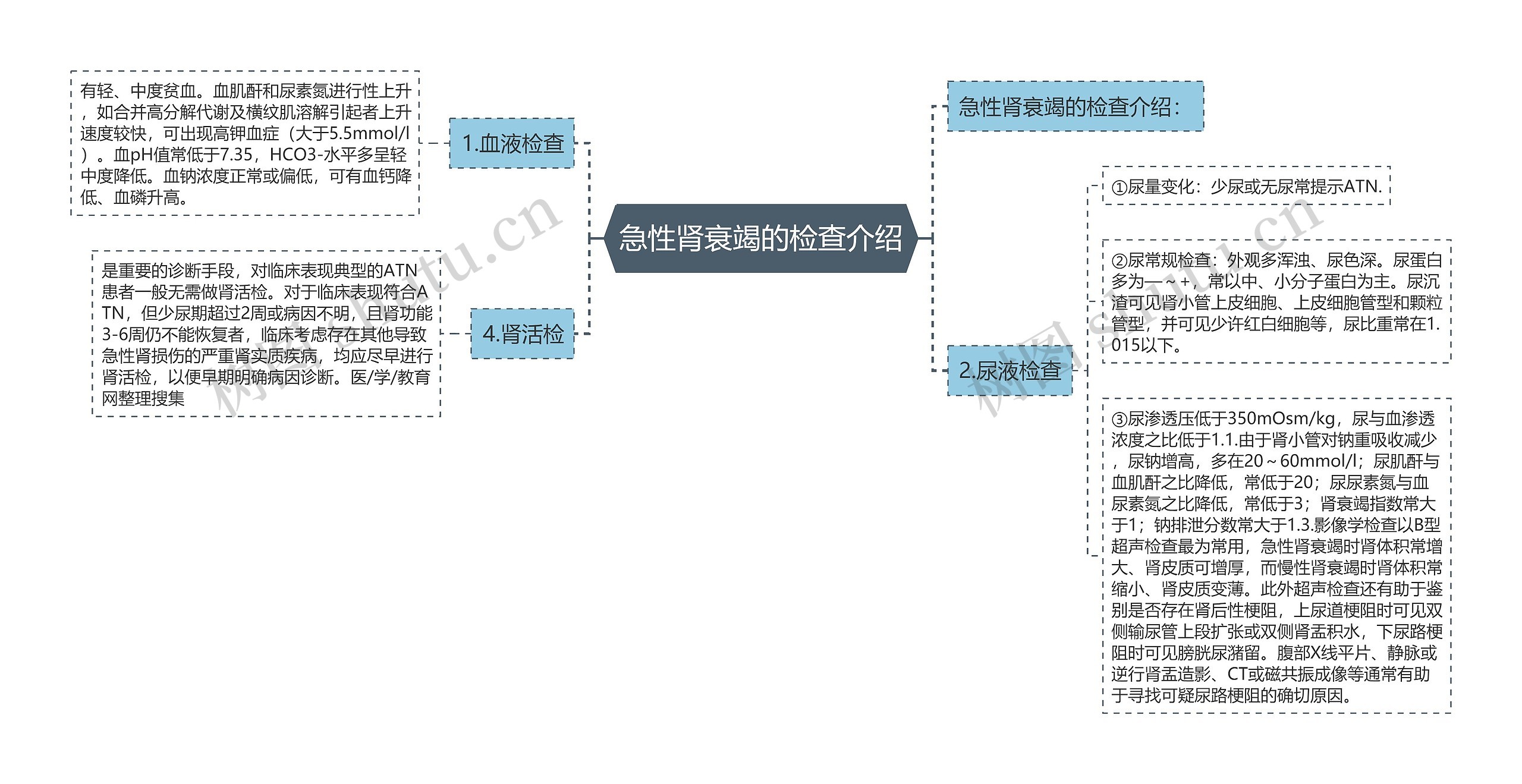 急性肾衰竭的检查介绍 急性肾衰竭的检查介绍