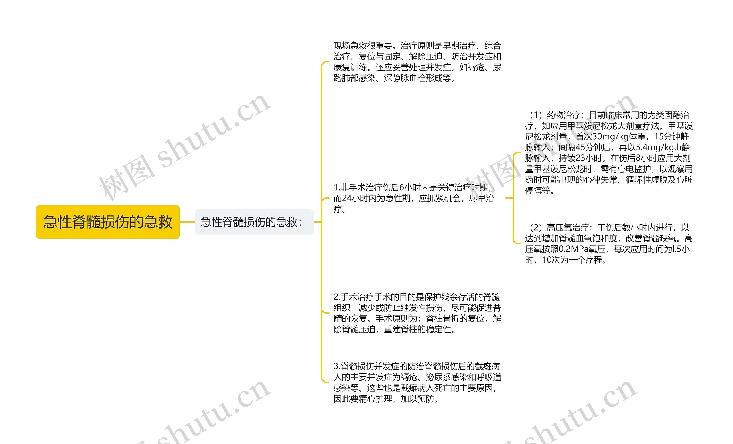 急性脊髓损伤的急救思维导图