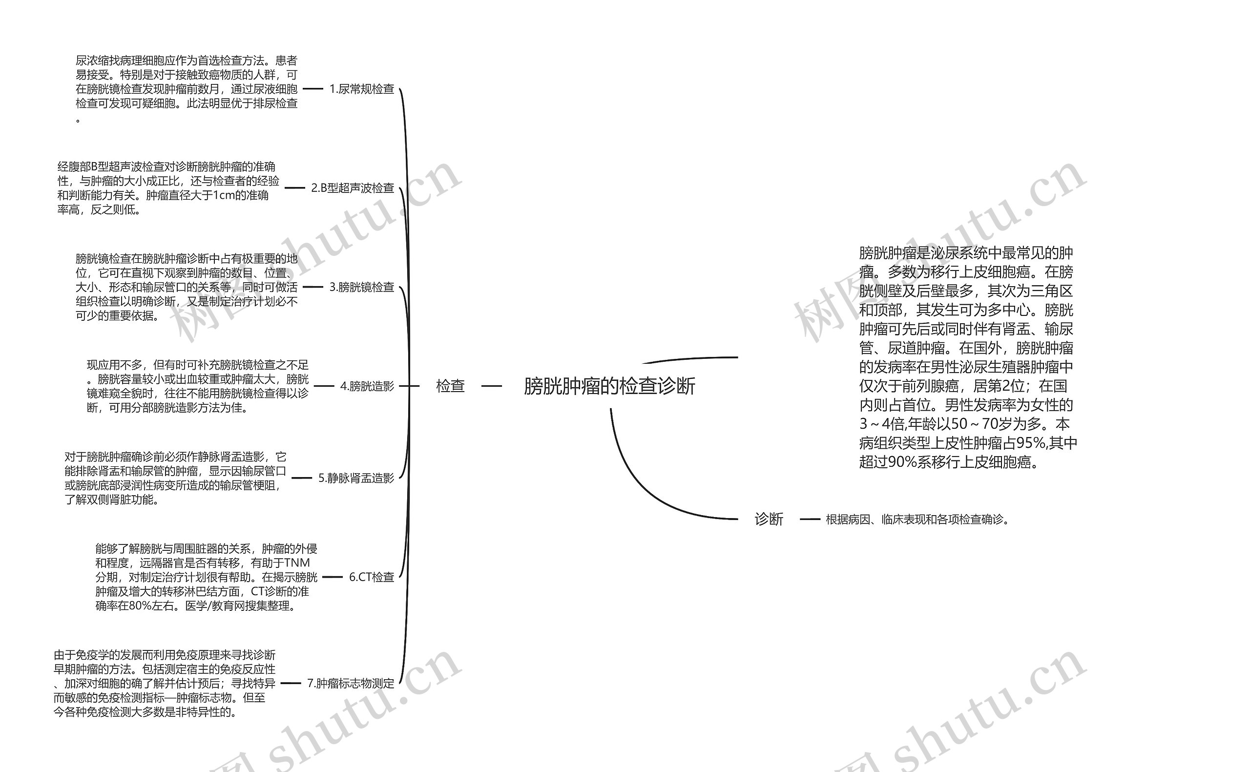 膀胱肿瘤的检查诊断思维导图