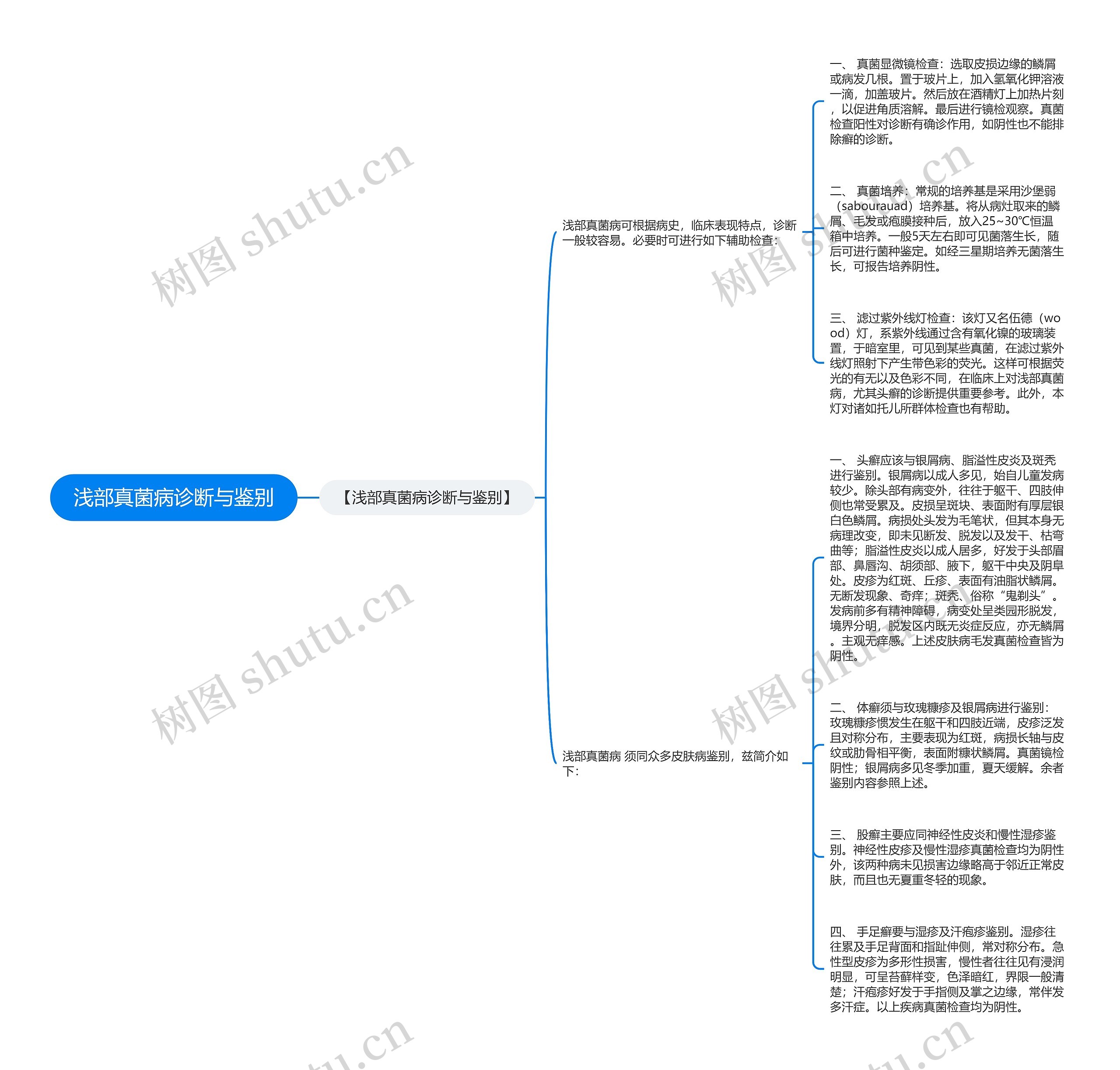 浅部真菌病诊断与鉴别思维导图