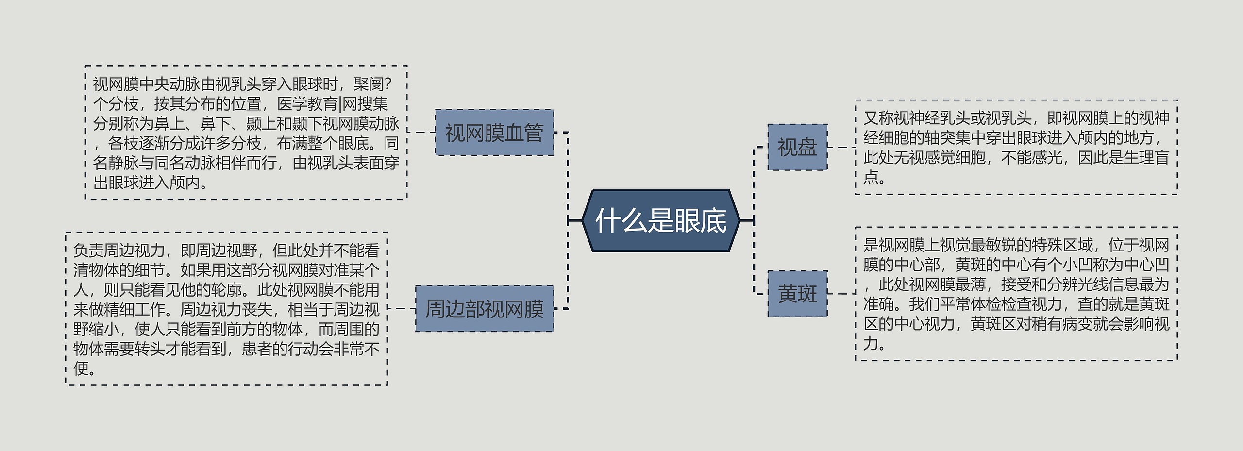 什么是眼底 什么是眼底