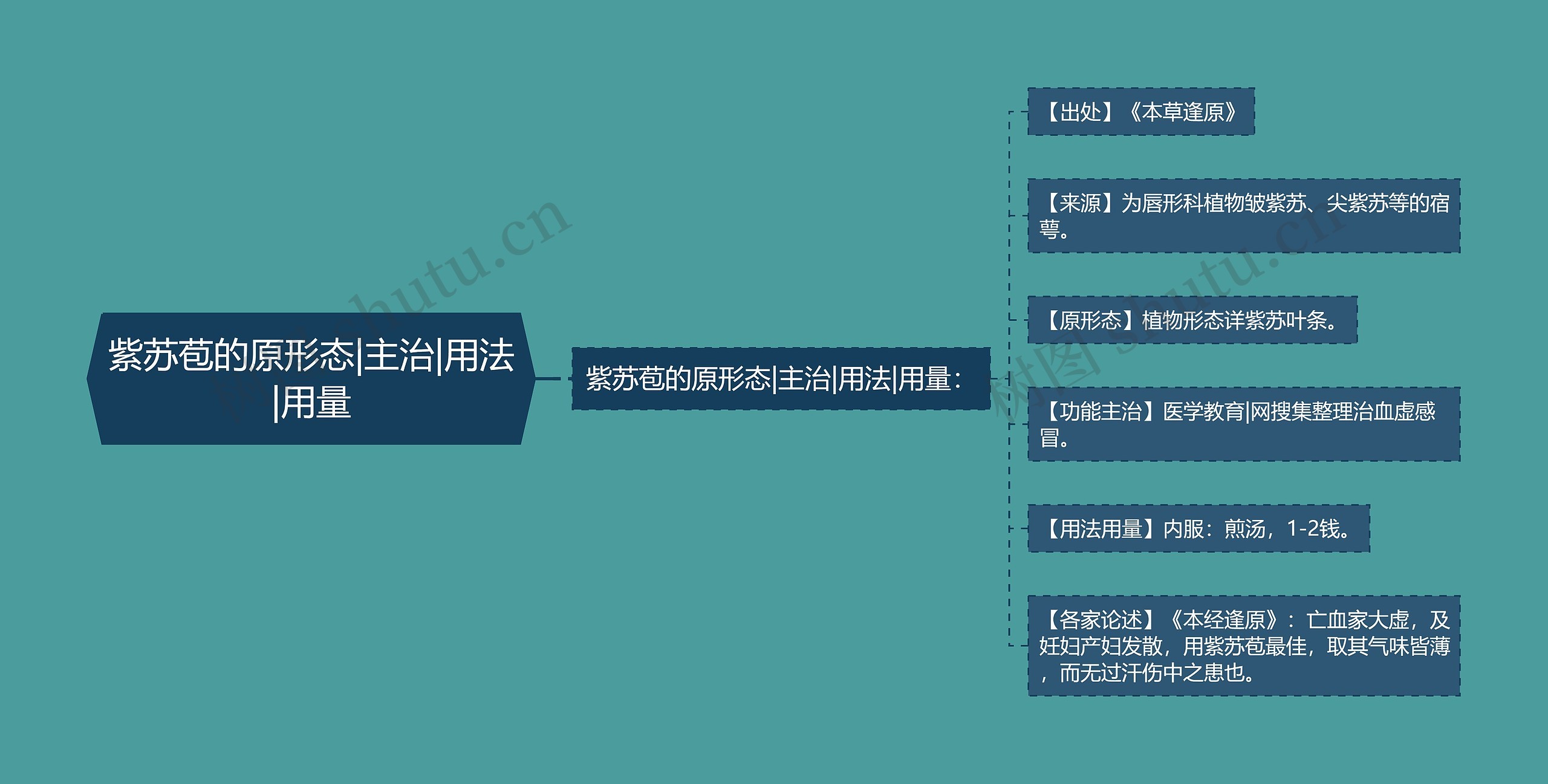 紫苏苞的原形态|主治|用法|用量思维导图