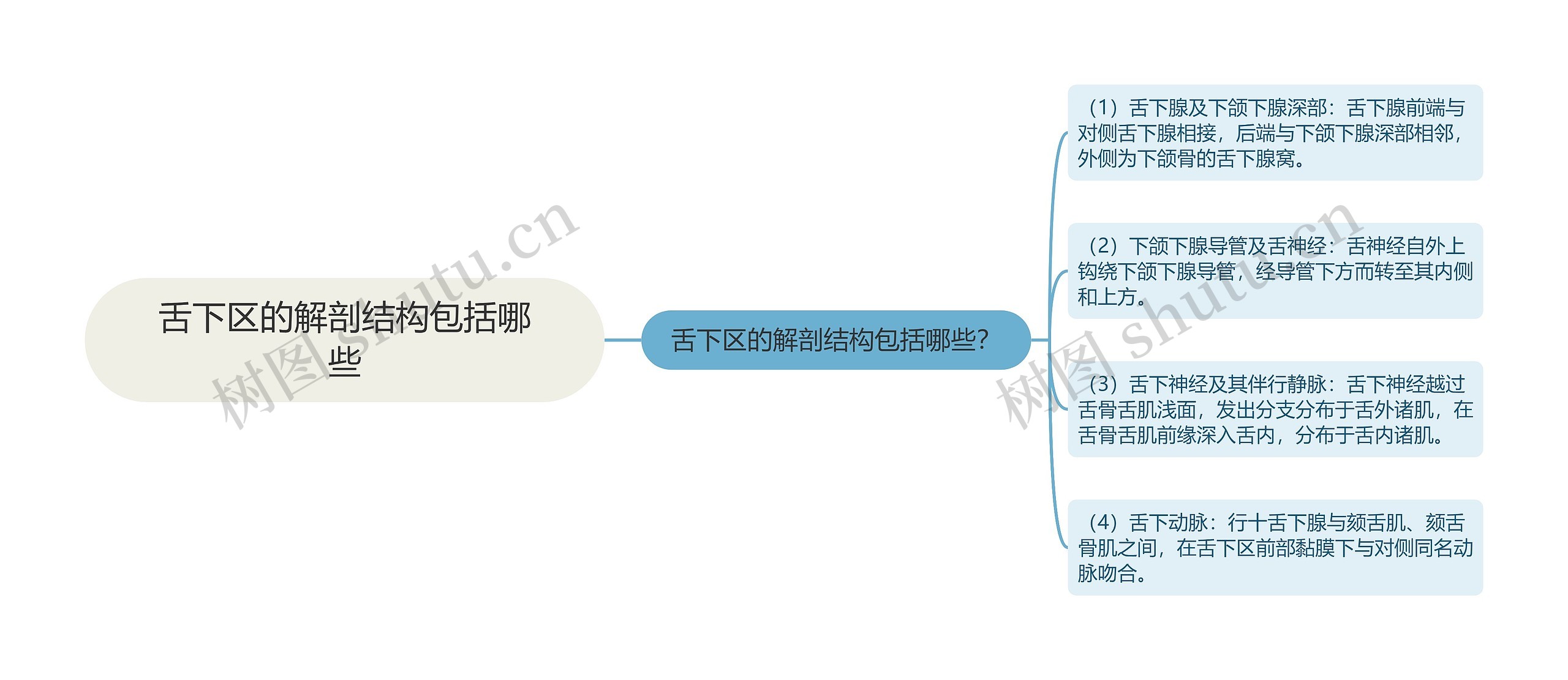 舌下区的解剖结构包括哪些