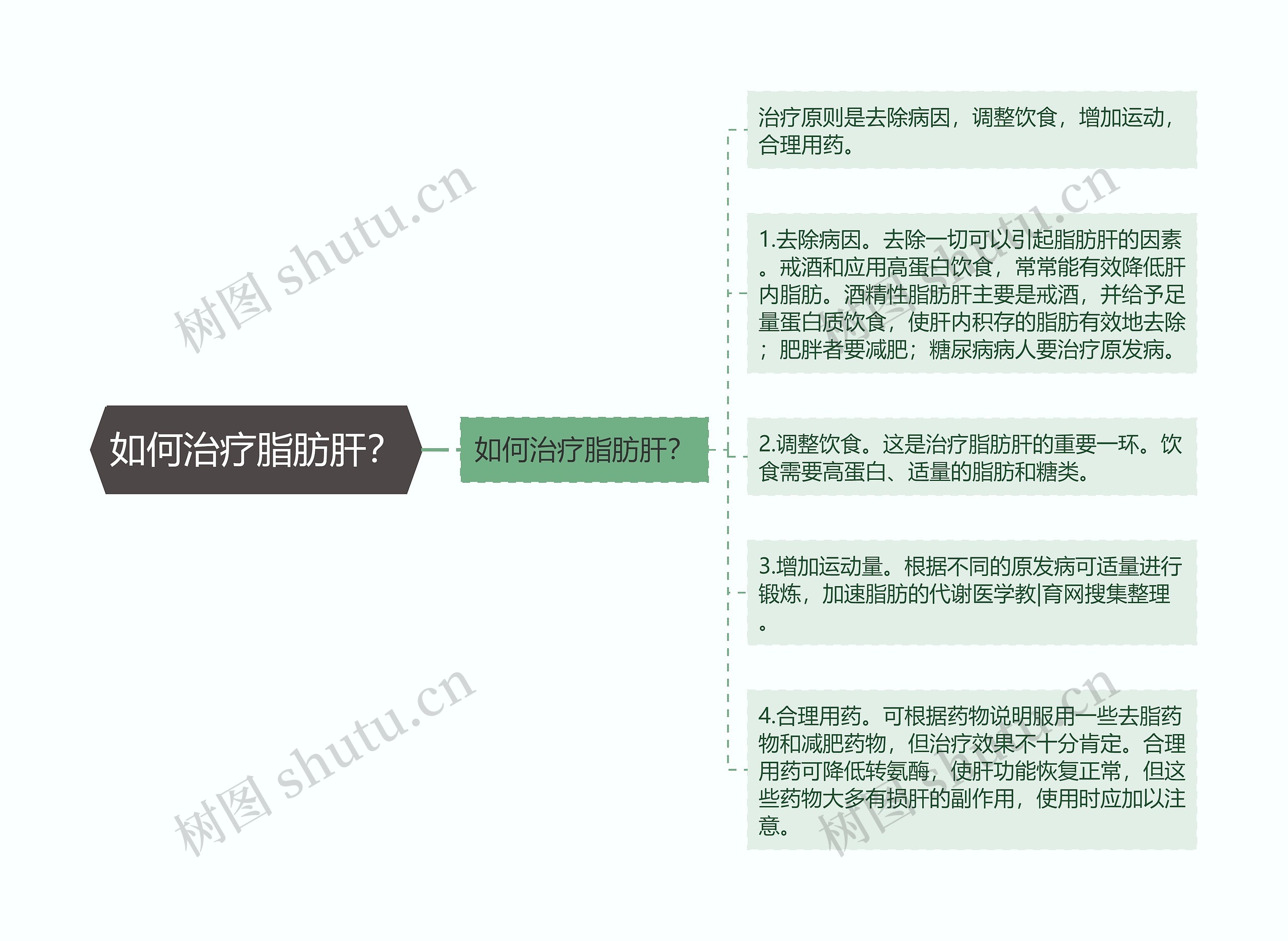 如何治疗脂肪肝？思维导图