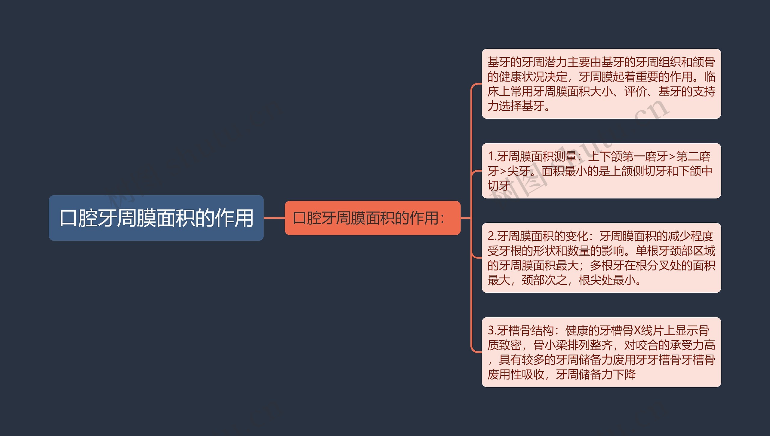 口腔牙周膜面积的作用思维导图