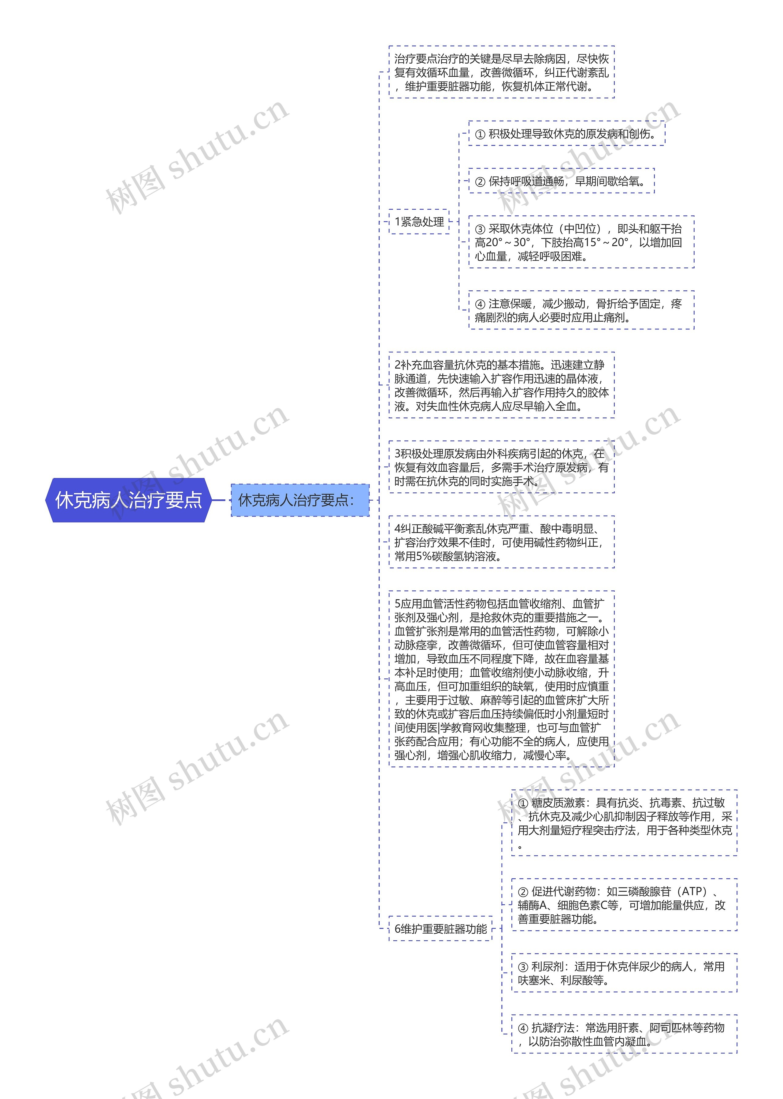 休克病人治疗要点