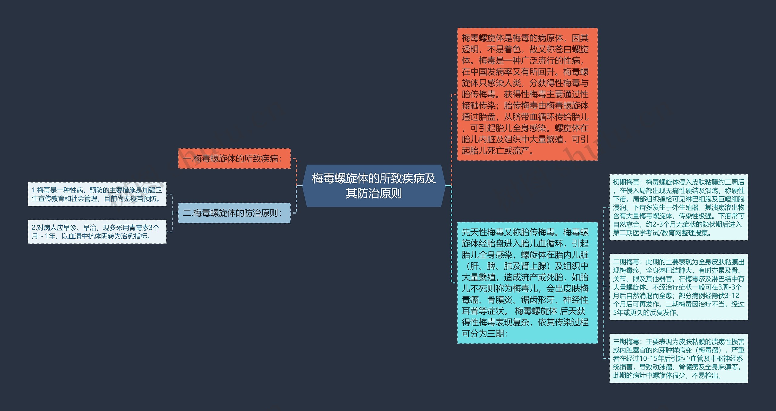 梅毒螺旋体的所致疾病及其防治原则思维导图