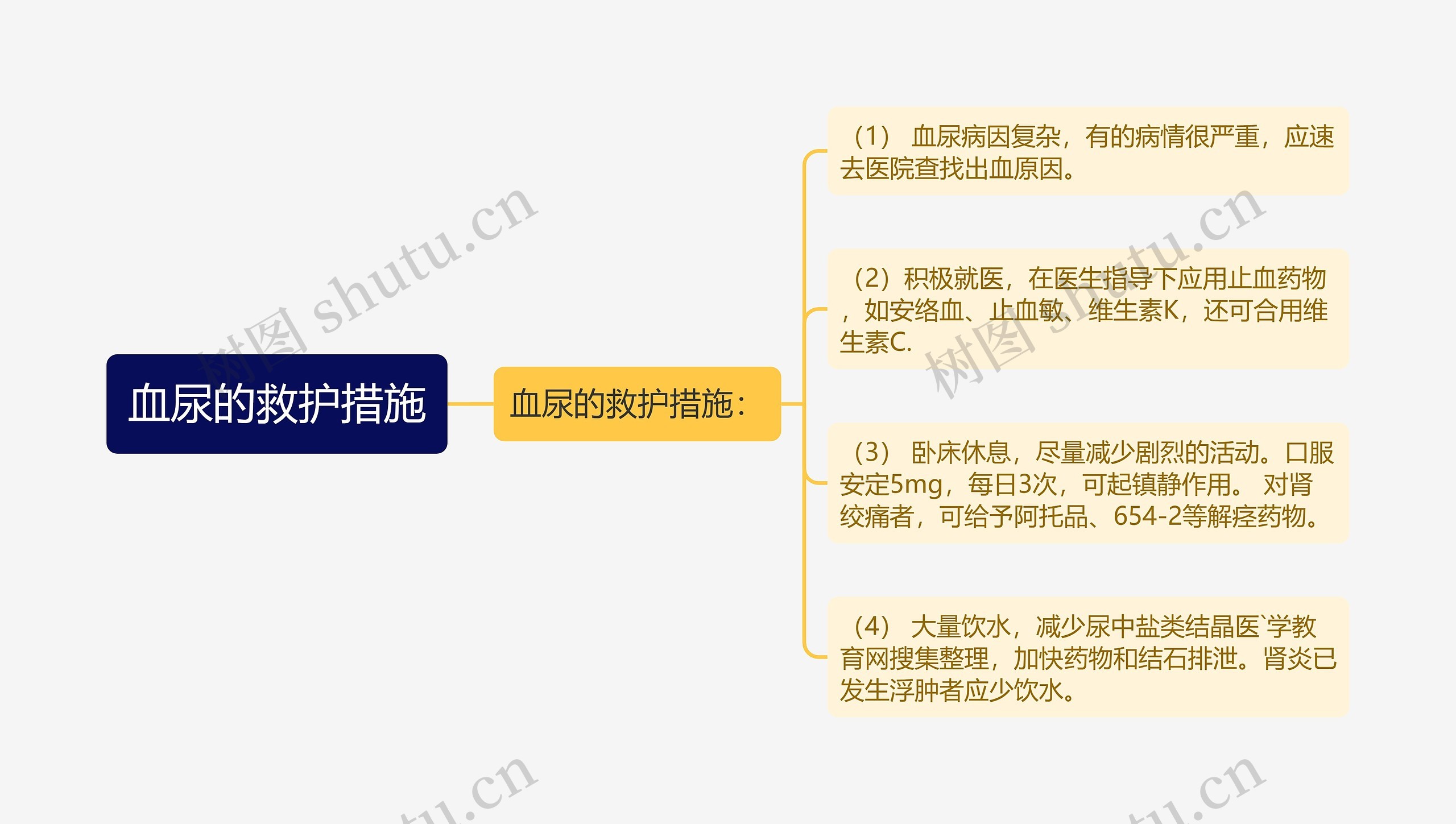 血尿的救护措施思维导图