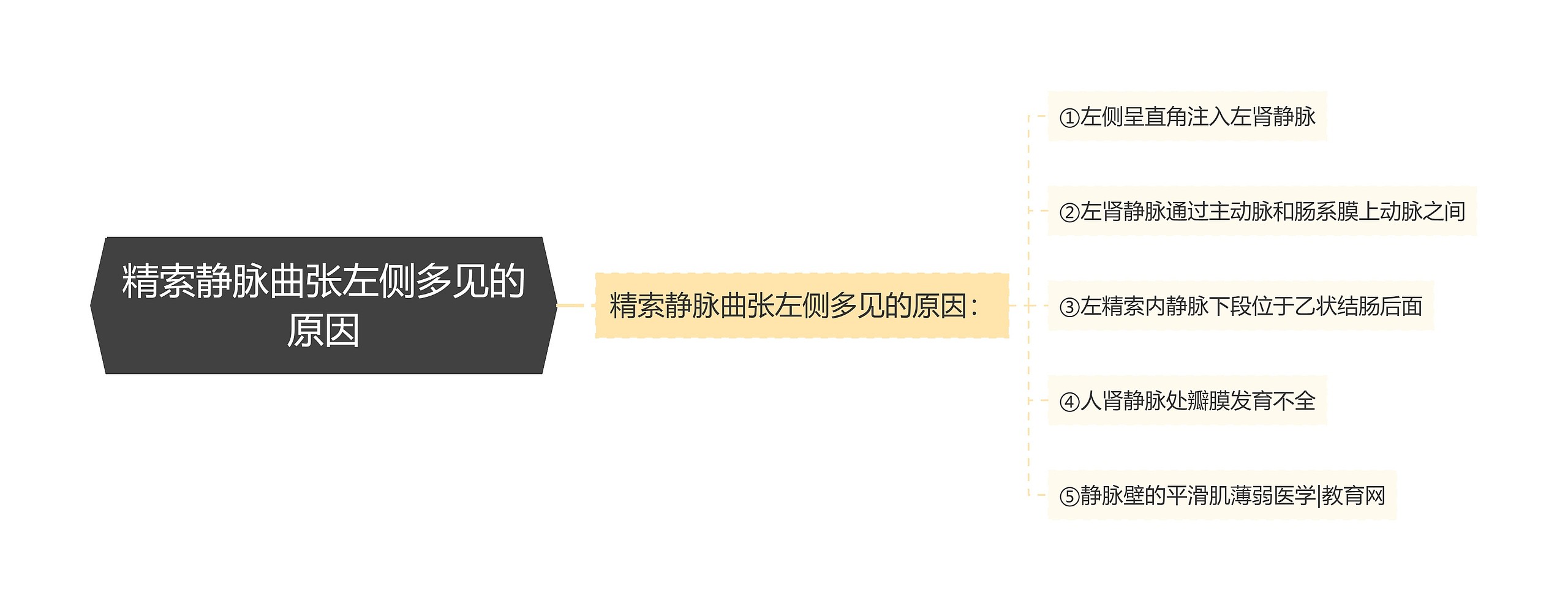 精索静脉曲张左侧多见的原因思维导图