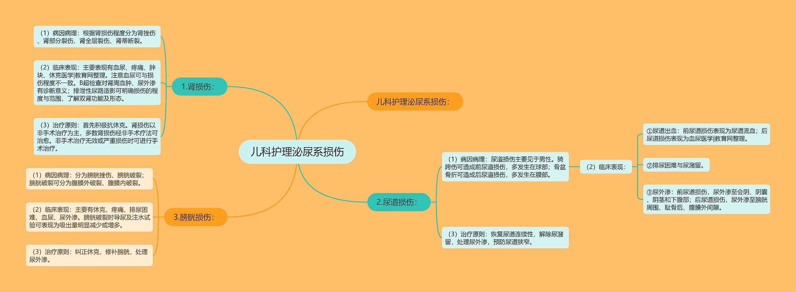 儿科护理泌尿系损伤思维导图