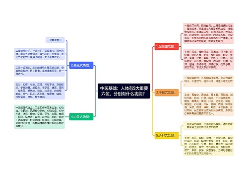 中医基础：人体有5大重要穴位，分别有什么功能？