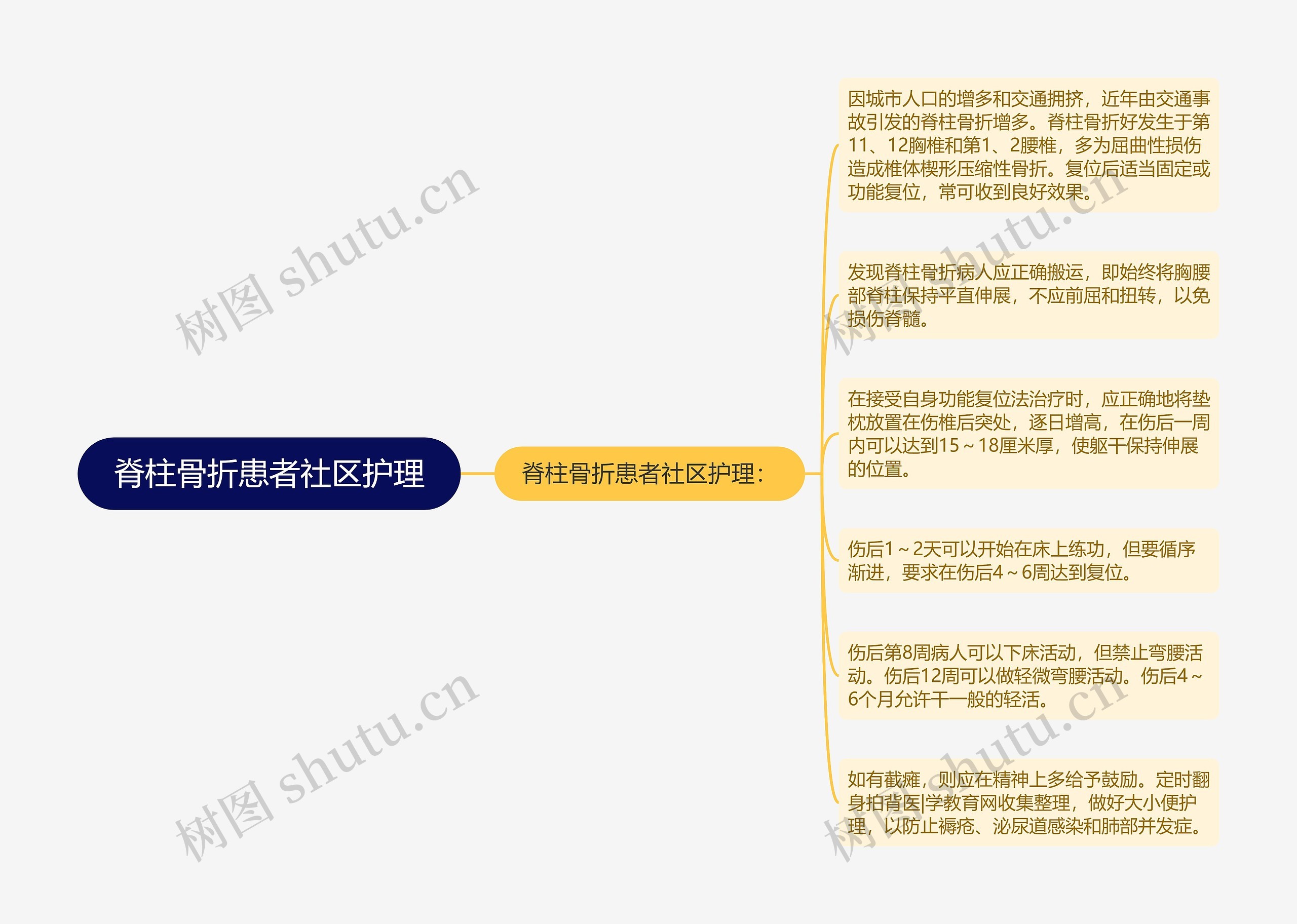 脊柱骨折患者社区护理思维导图