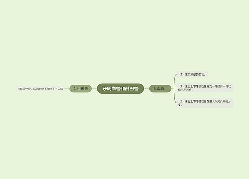 牙周血管和淋巴管