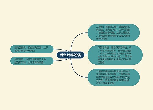 舌骨上肌群分类