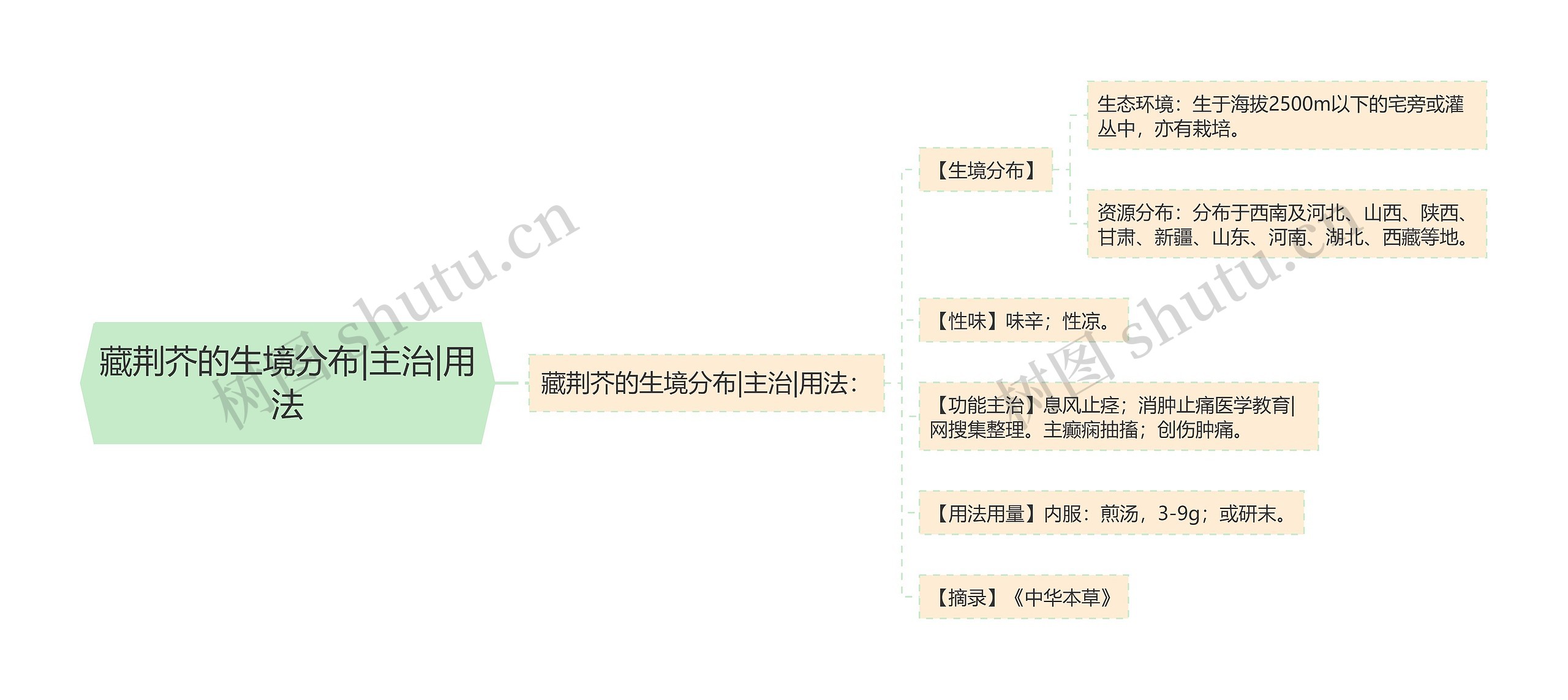 藏荆芥的生境分布|主治|用法思维导图