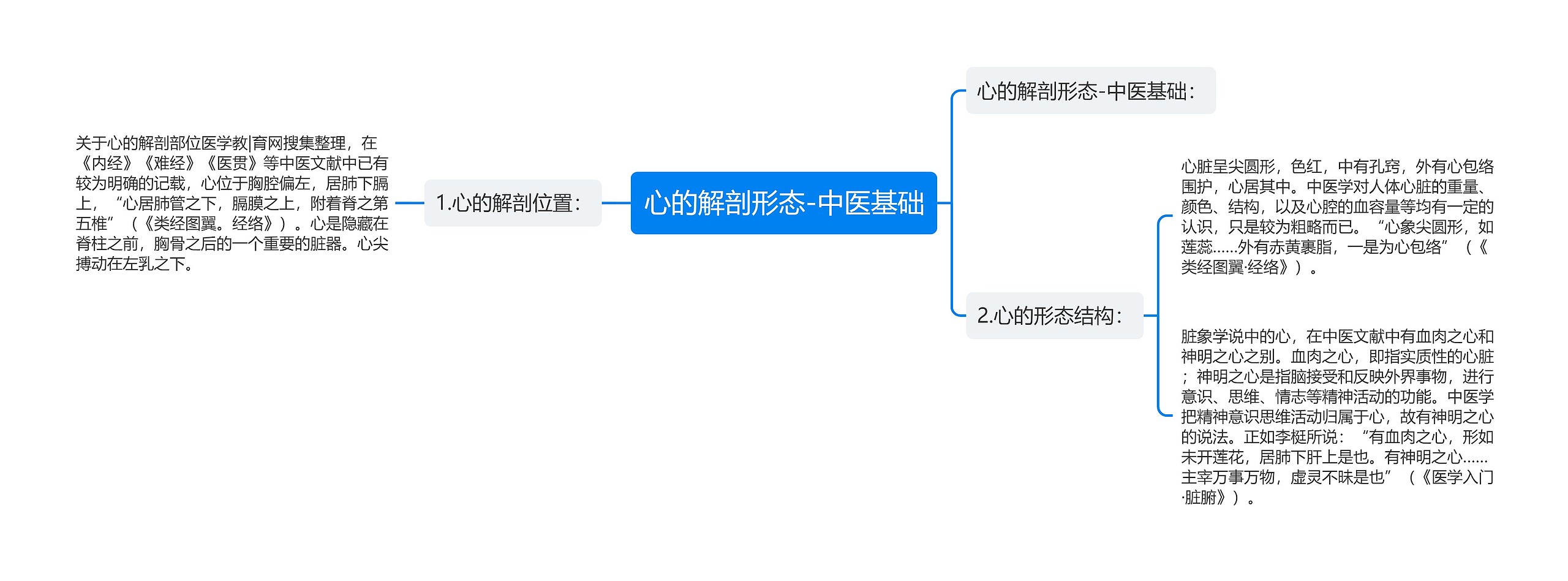 心的解剖形态-中医基础