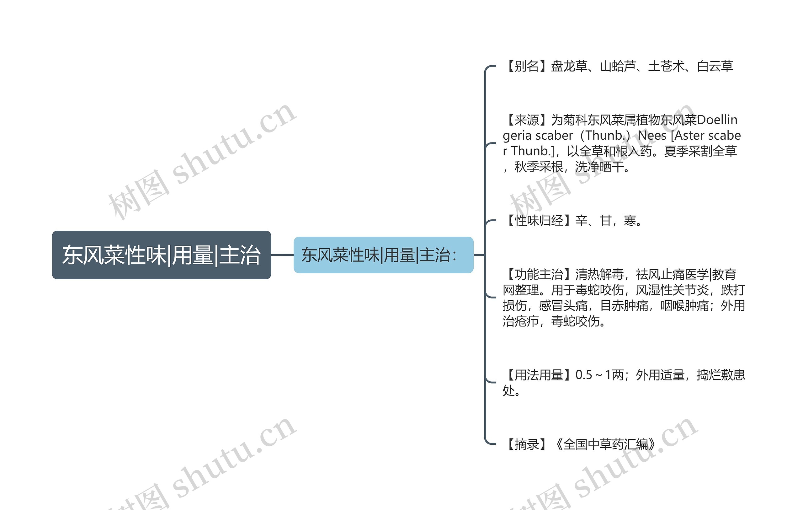 东风菜性味|用量|主治思维导图