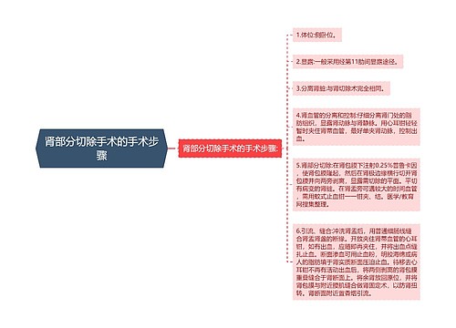 肾部分切除手术的手术步骤