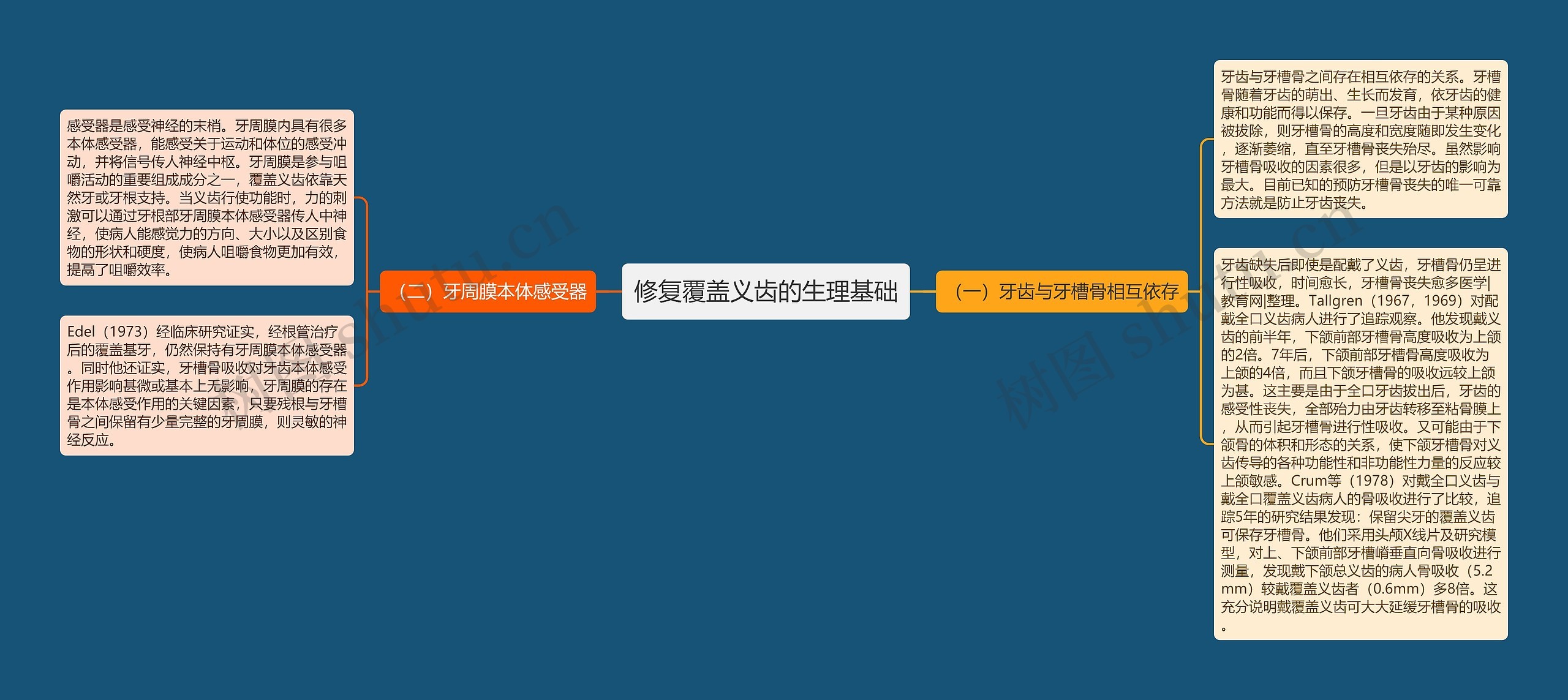修复覆盖义齿的生理基础