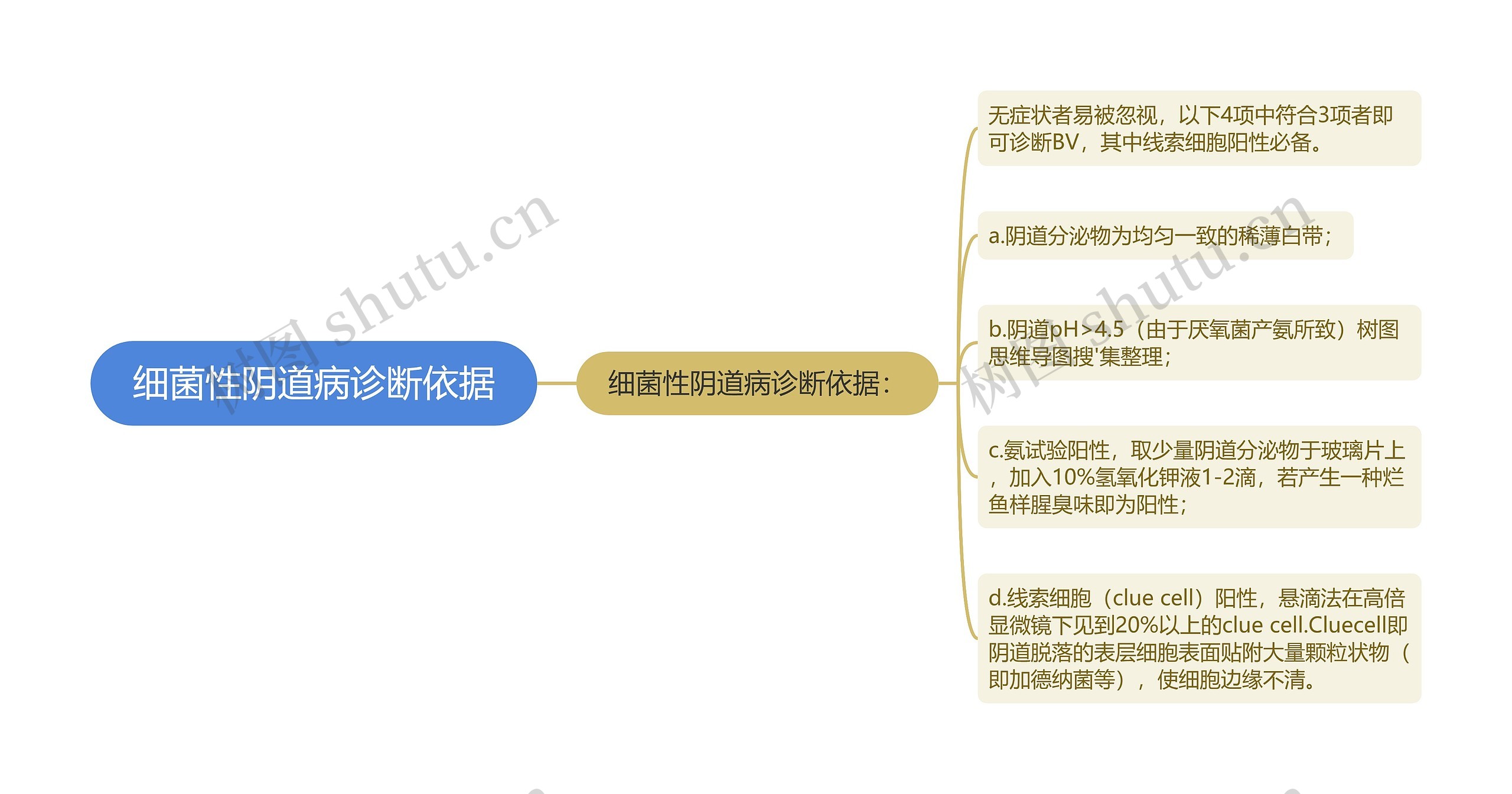 细菌性阴道病诊断依据