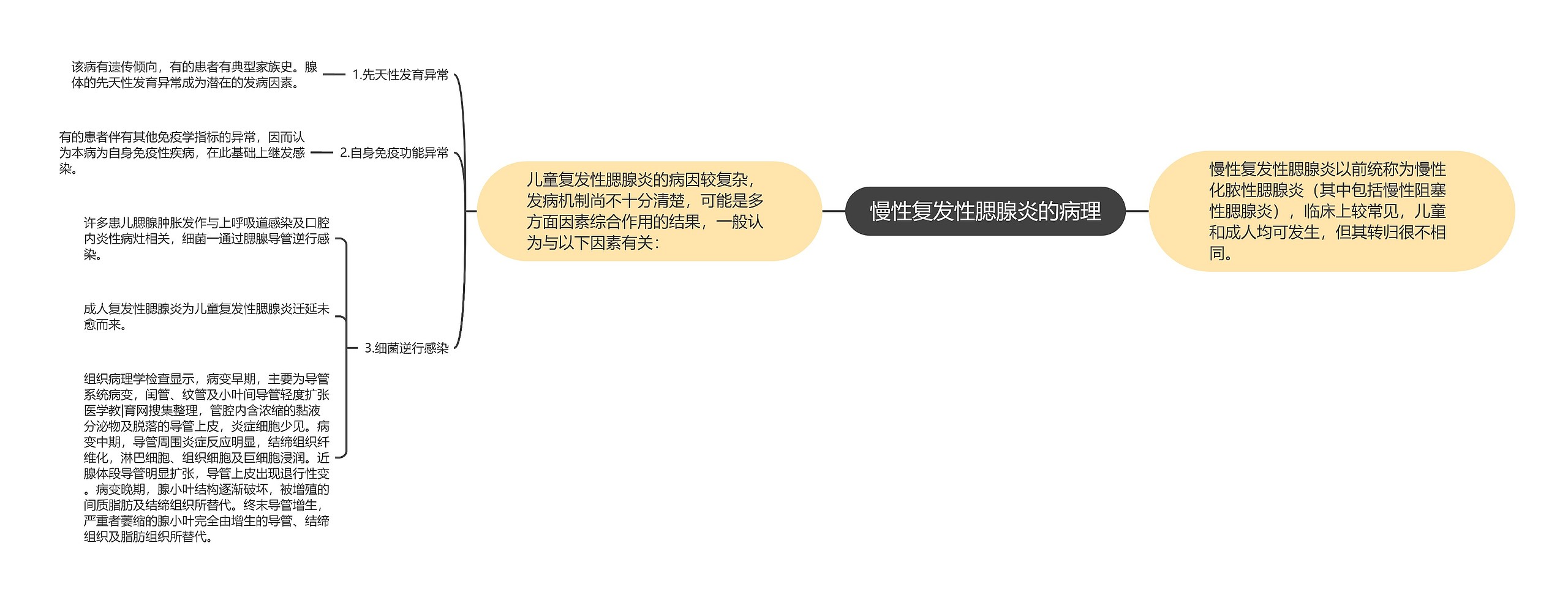 慢性复发性腮腺炎的病理 慢性复发性腮腺炎的病理
