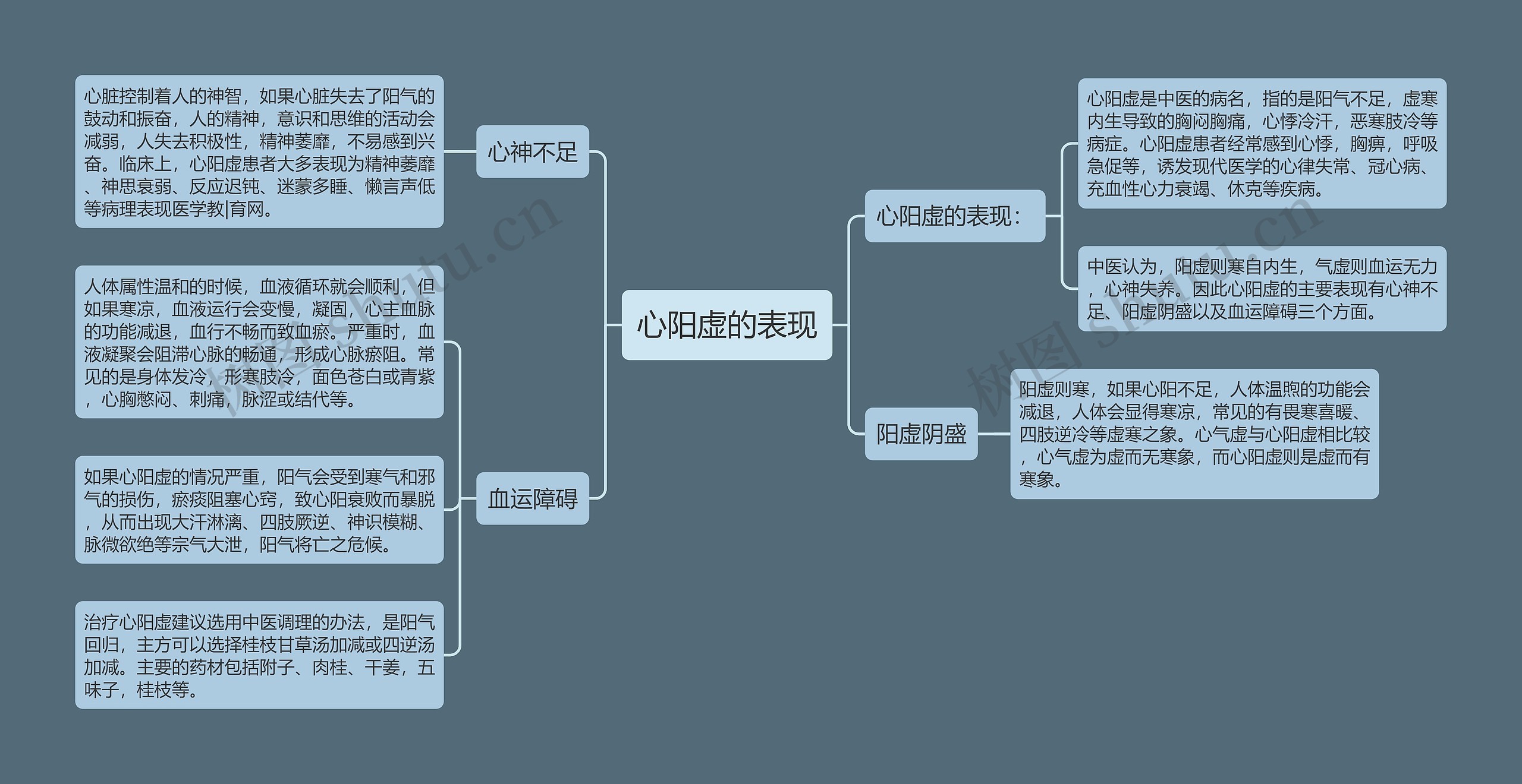 心阳虚的表现