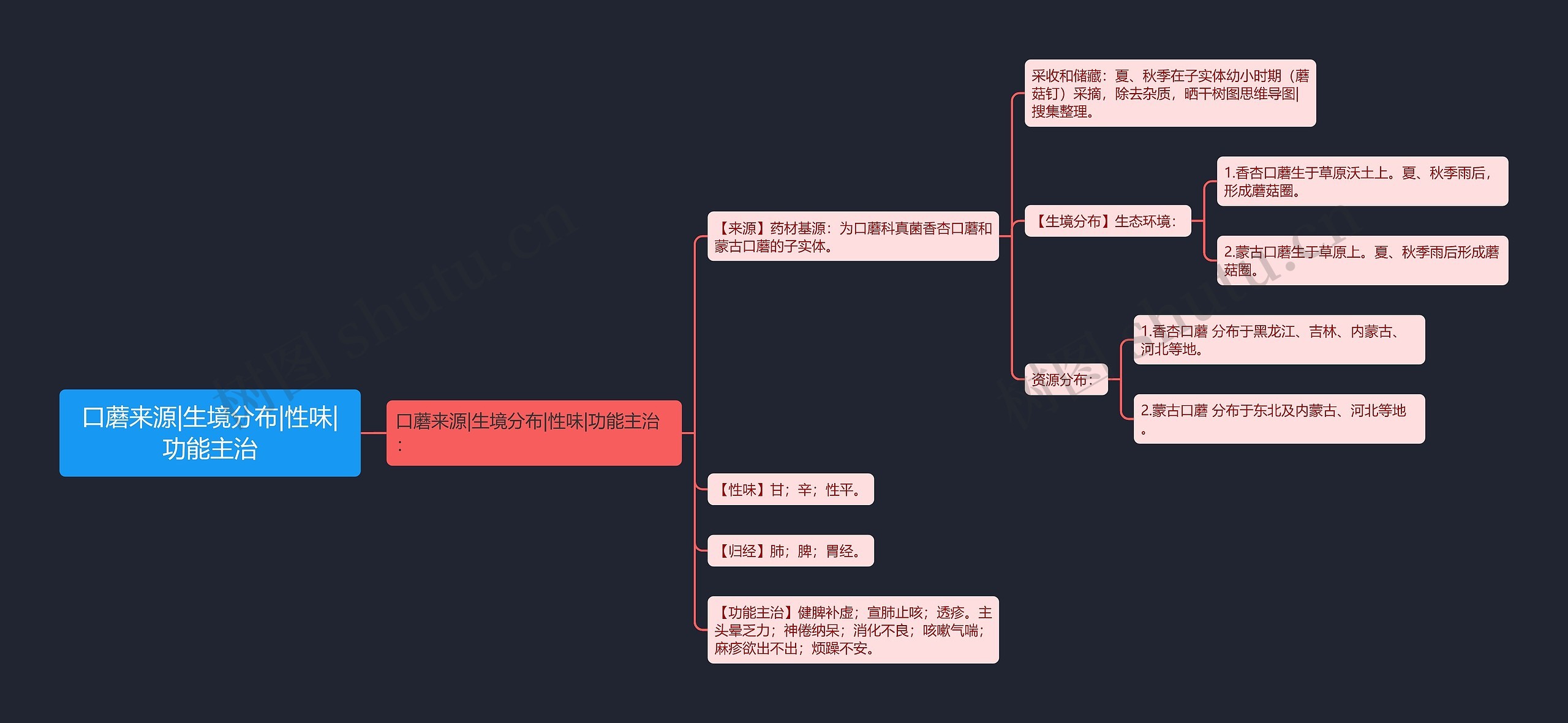 口蘑来源|生境分布|性味|功能主治思维导图