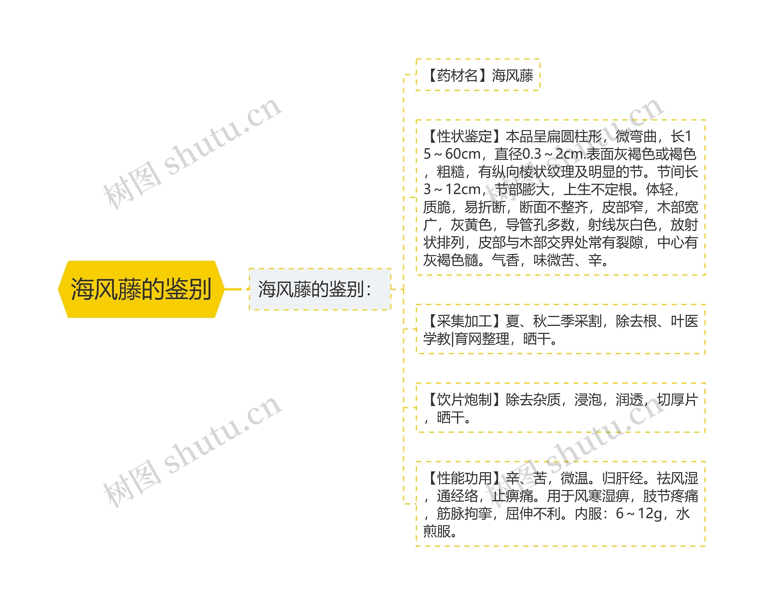 海风藤的鉴别思维导图
