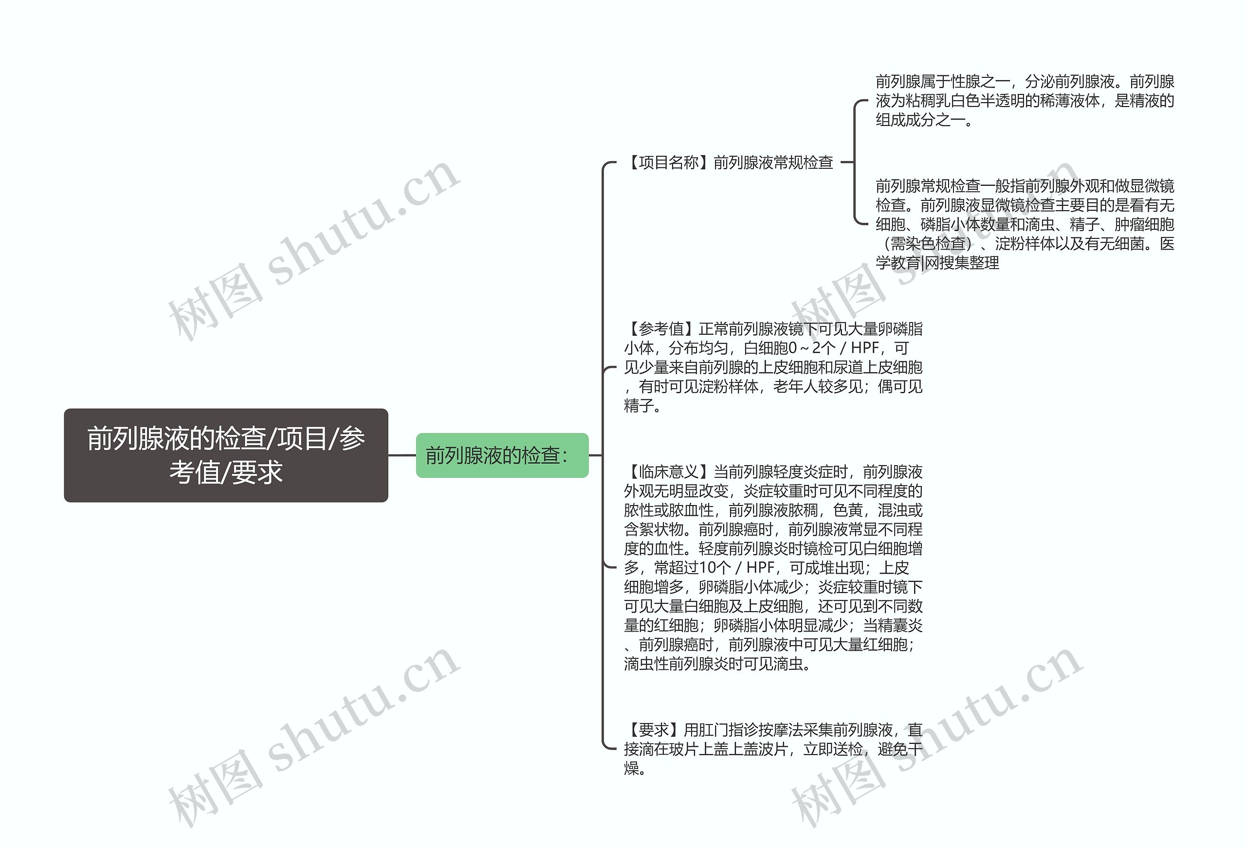 前列腺液的检查/项目/参考值/要求思维导图