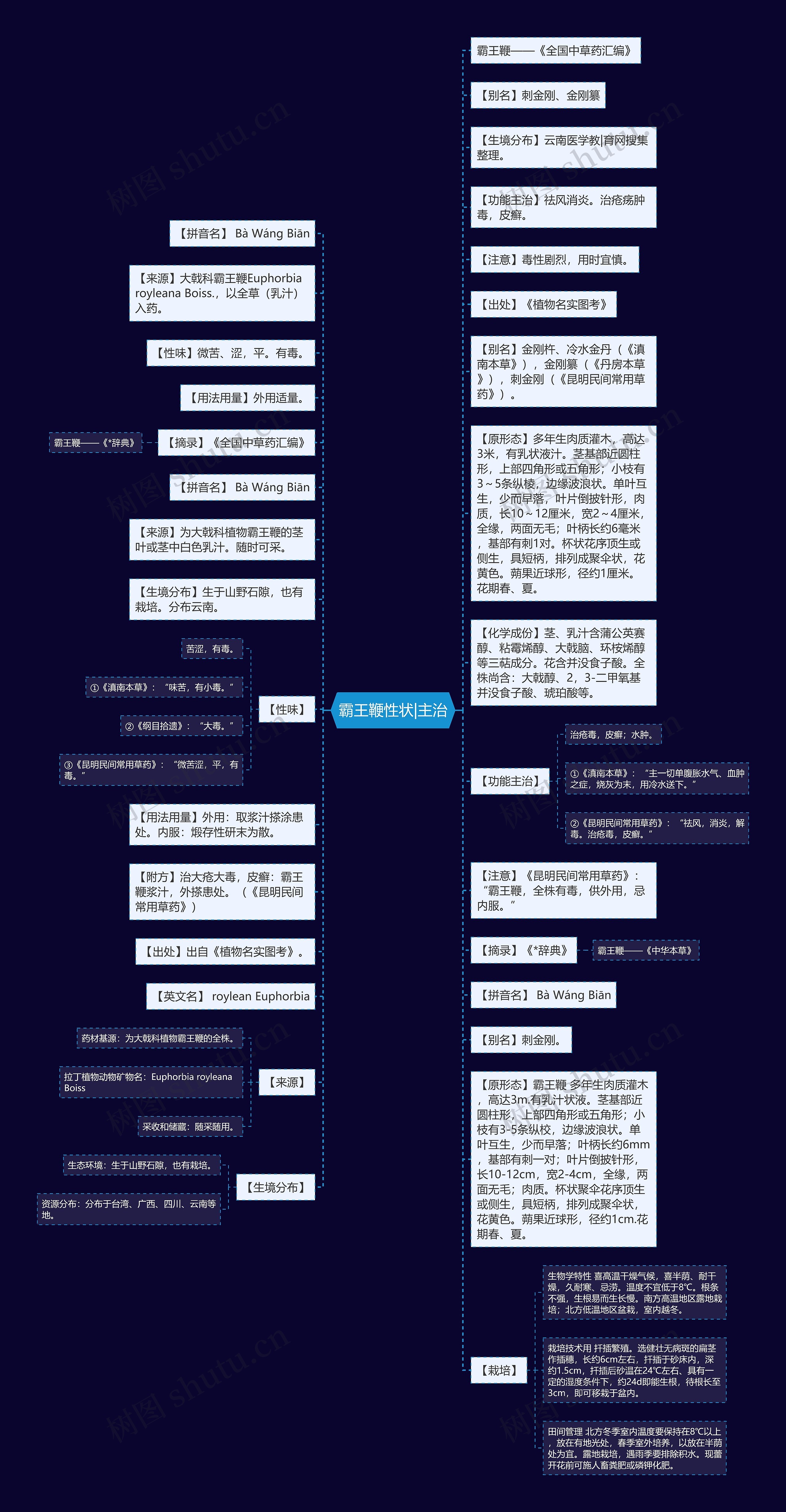 霸王鞭性状|主治思维导图