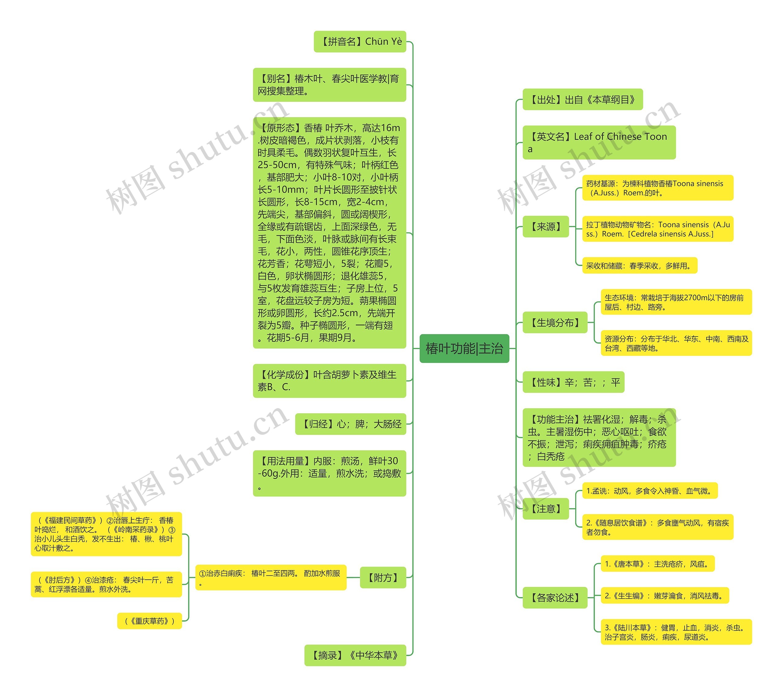 椿叶功能|主治 椿叶功能|主治