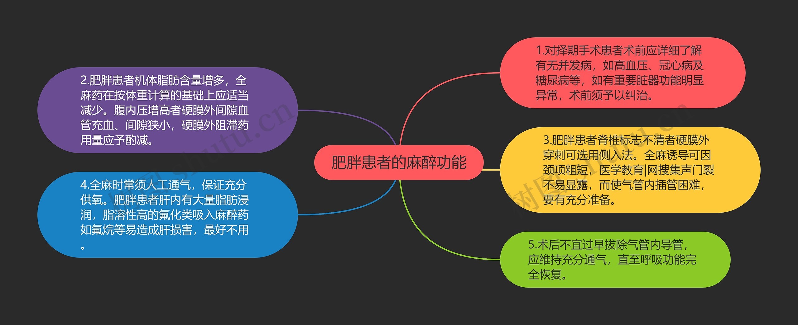 肥胖患者的麻醉功能