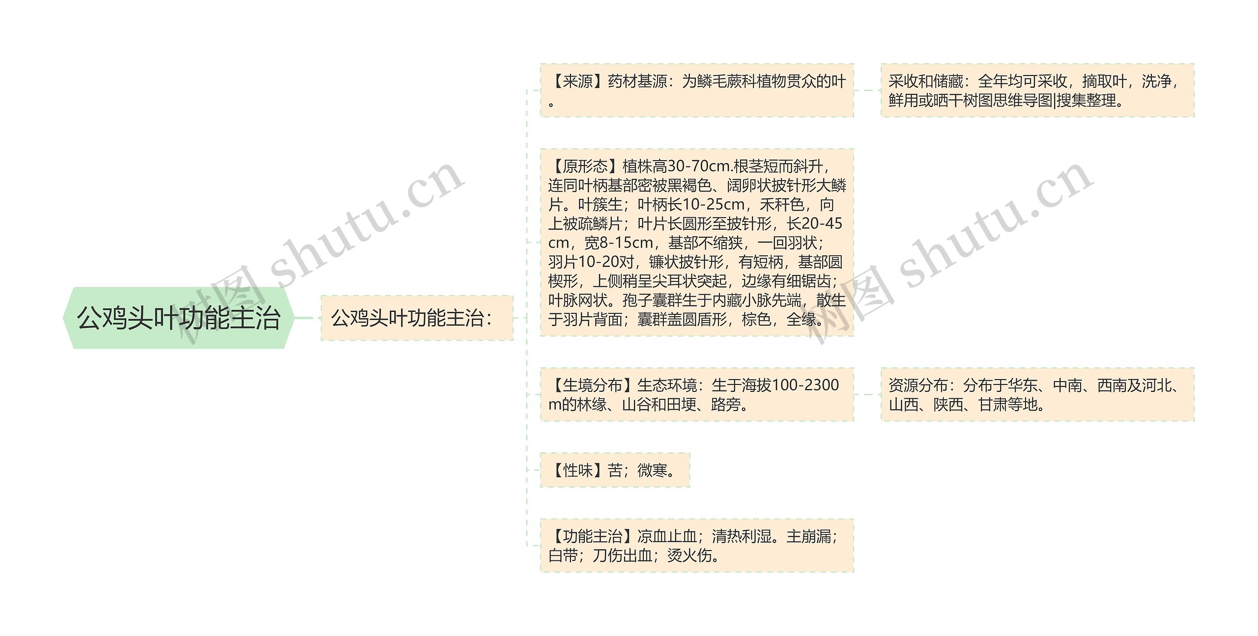 公鸡头叶功能主治思维导图