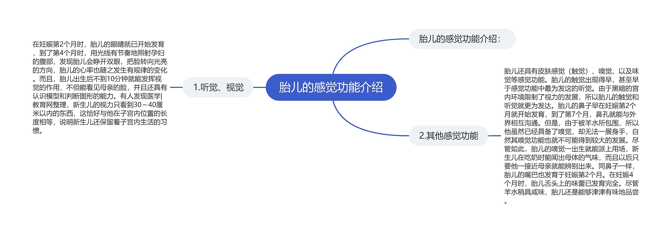 胎儿的感觉功能介绍思维导图