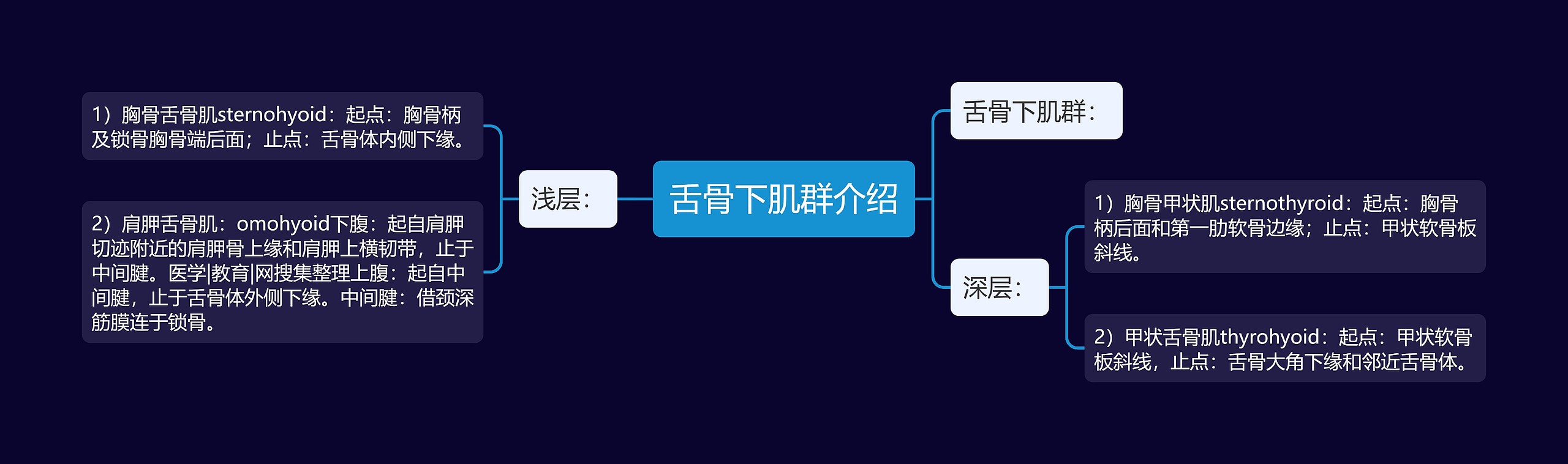 舌骨下肌群介绍