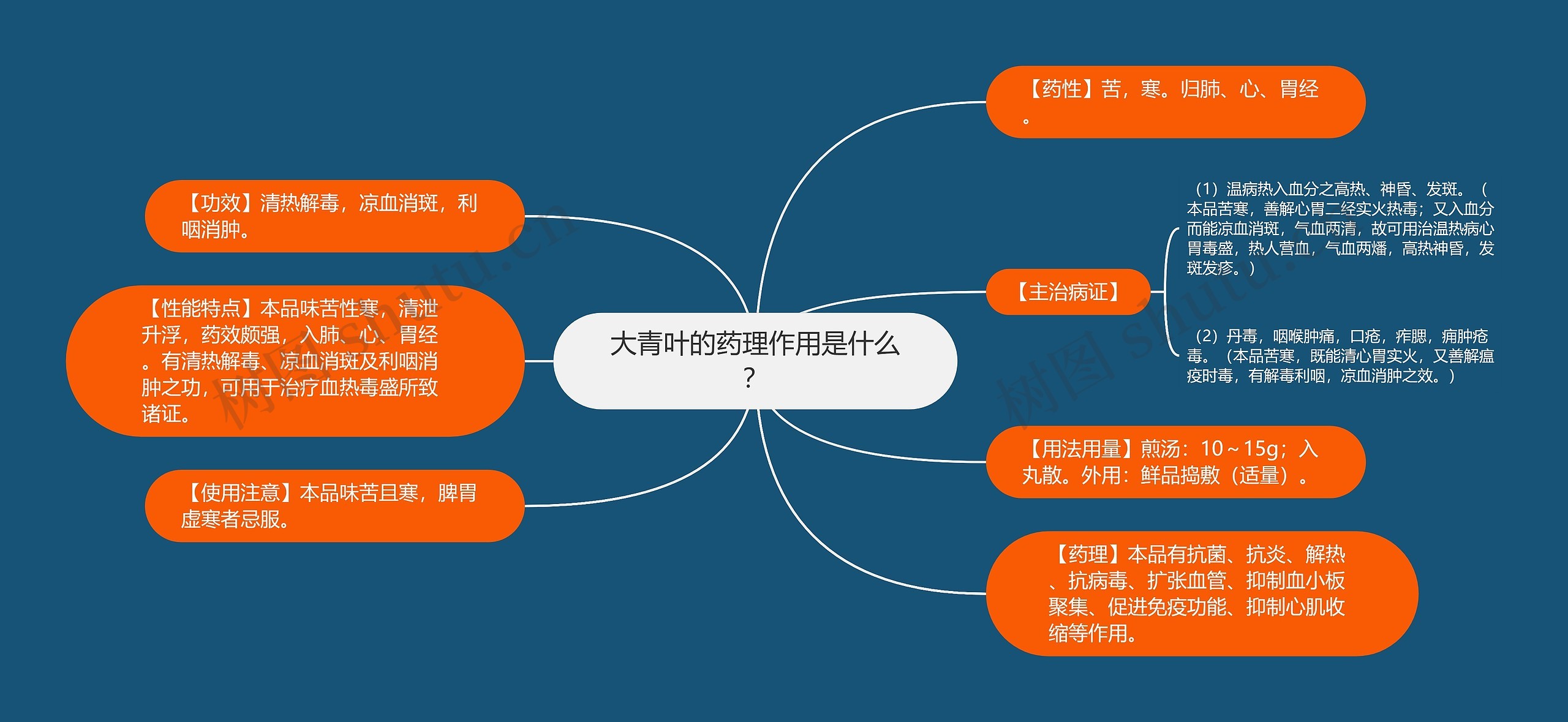 大青叶的药理作用是什么？思维导图