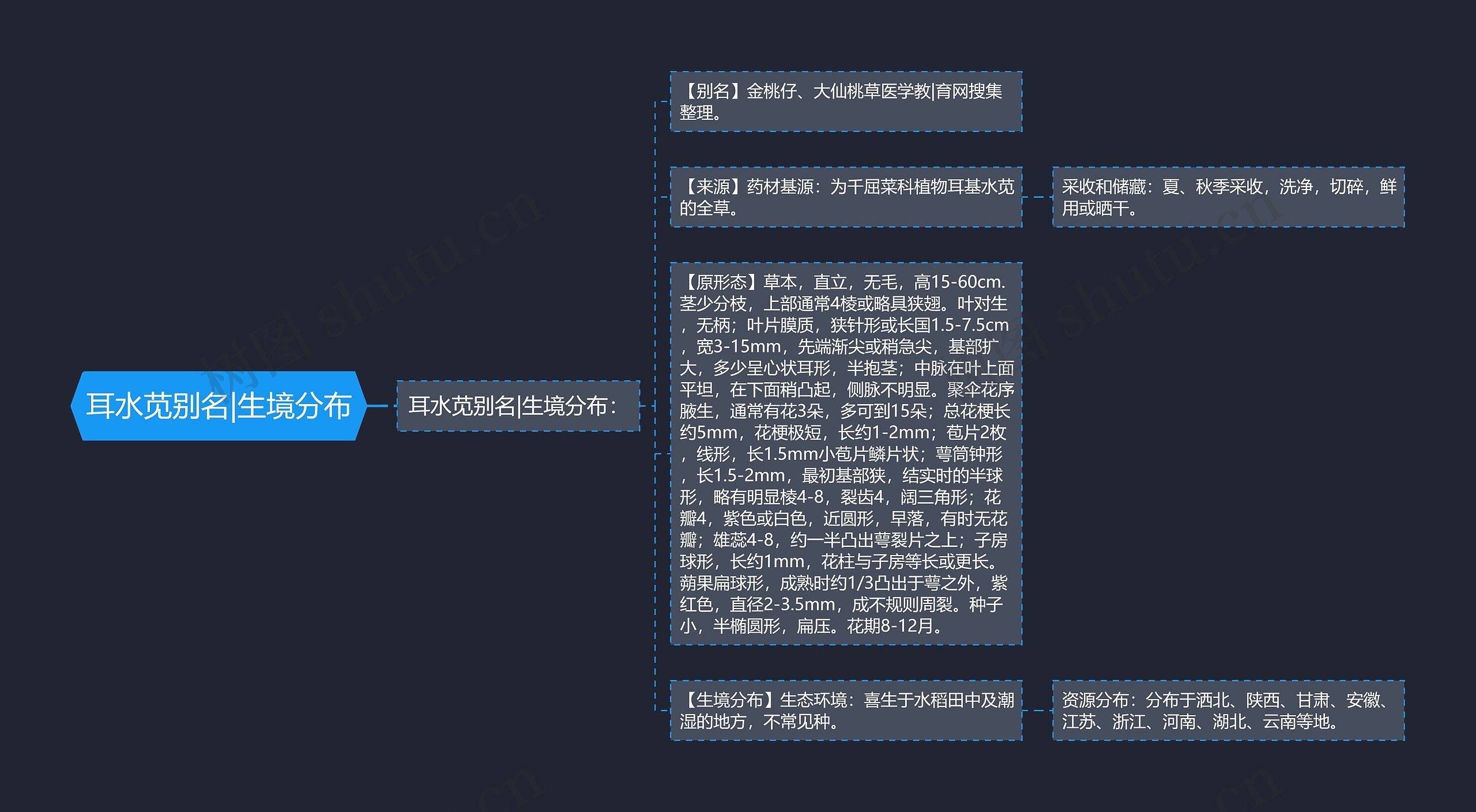 耳水苋别名|生境分布思维导图