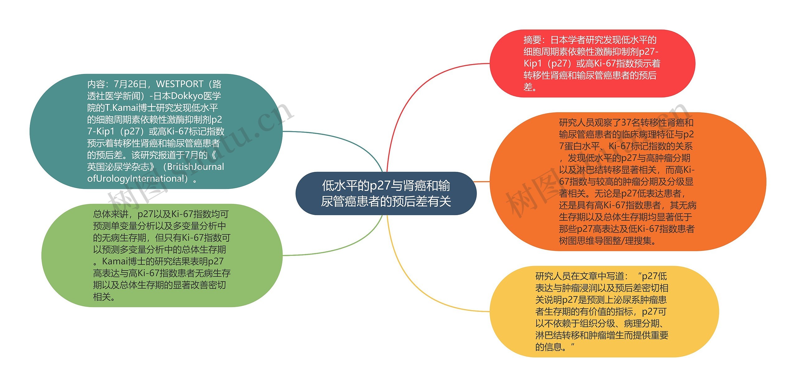 低水平的p27与肾癌和输尿管癌患者的预后差有关