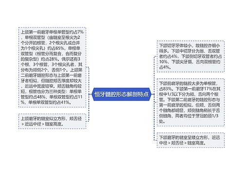 恒牙髓腔形态解剖特点