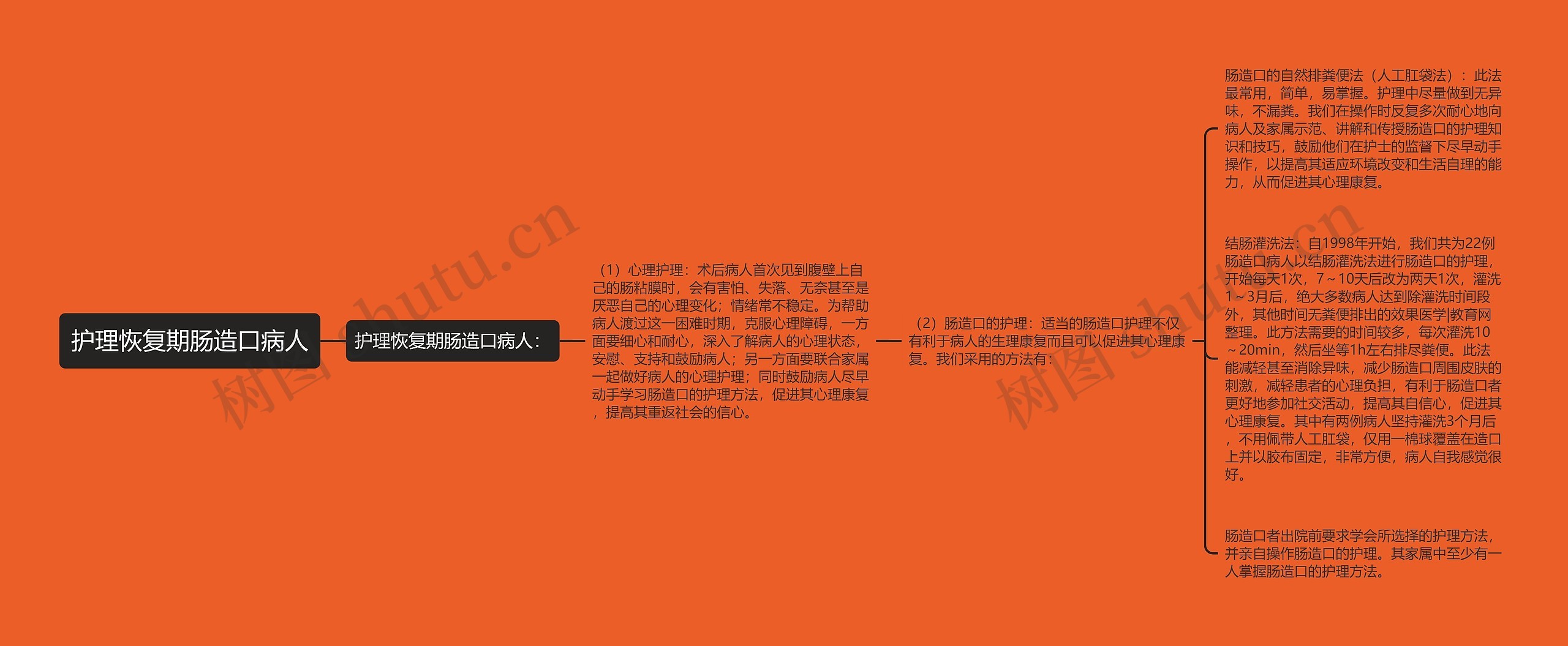 护理恢复期肠造口病人